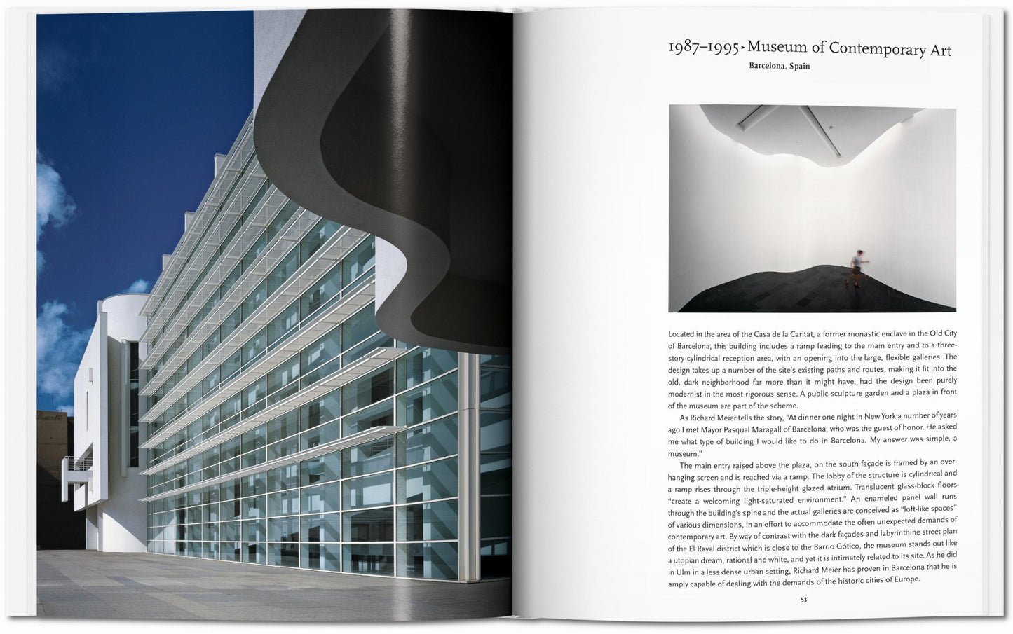 Meier. Arte básico