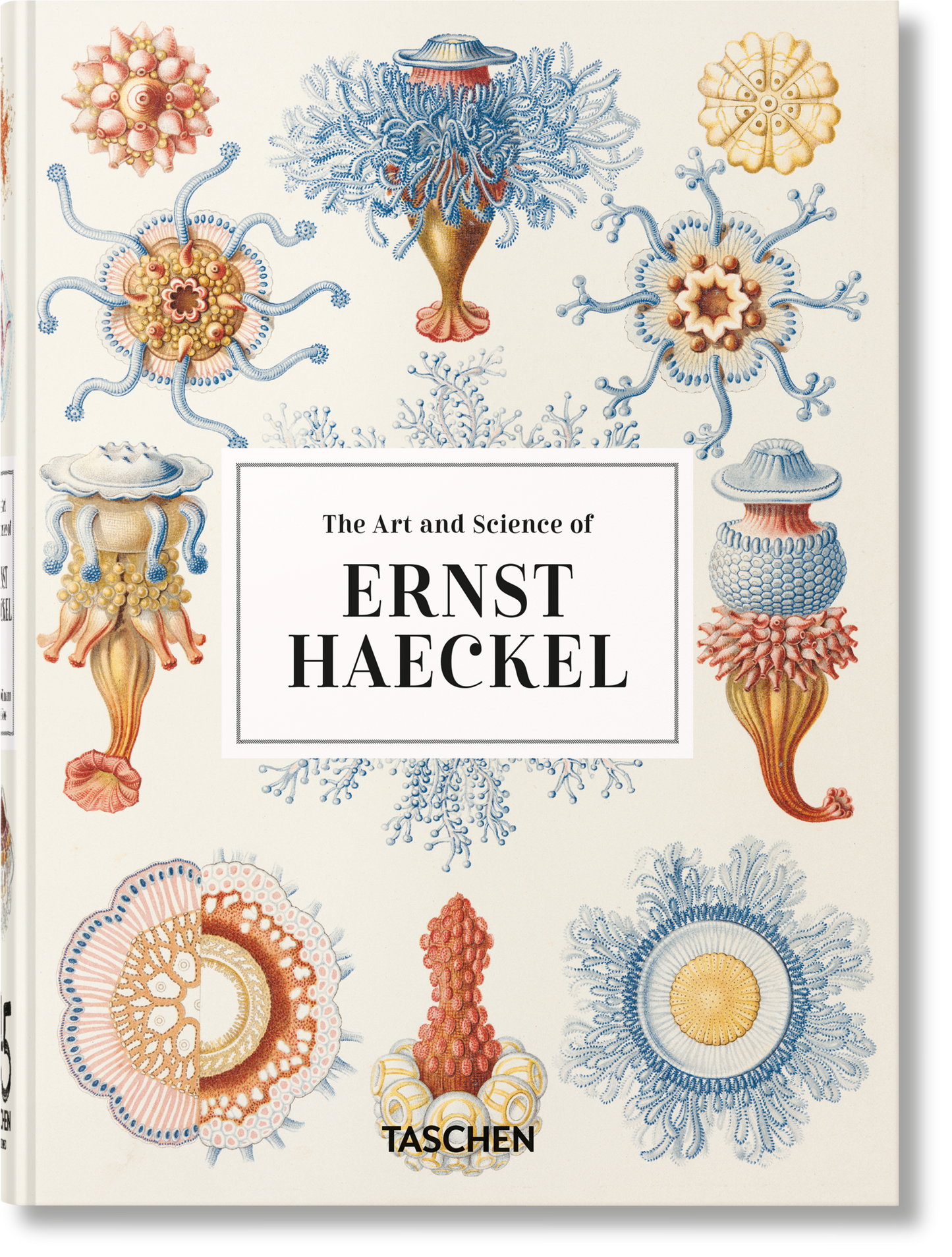El arte y la ciencia de Ernst Haeckel. 45.ª ed.
