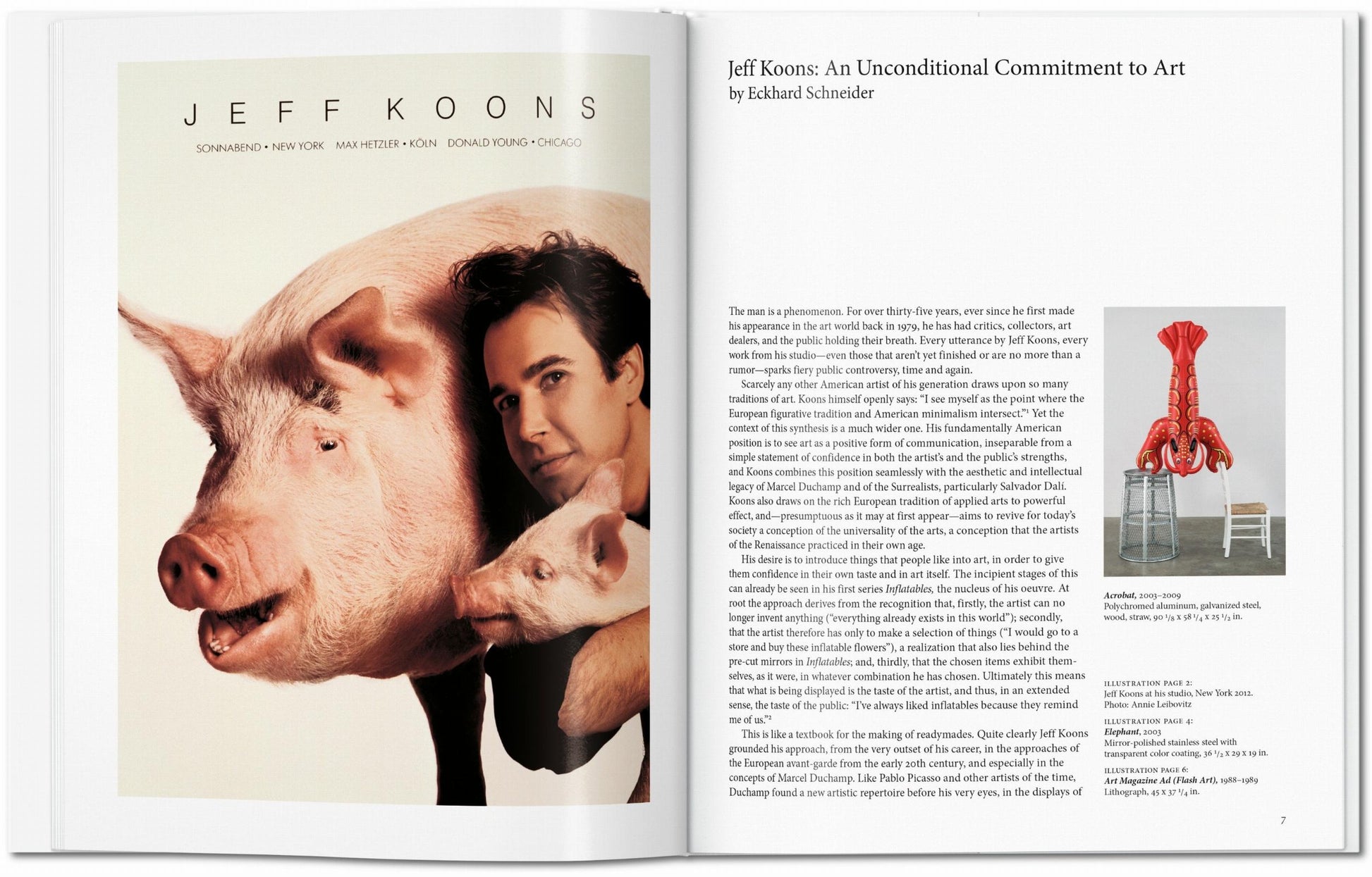 Koons. Arte Básico