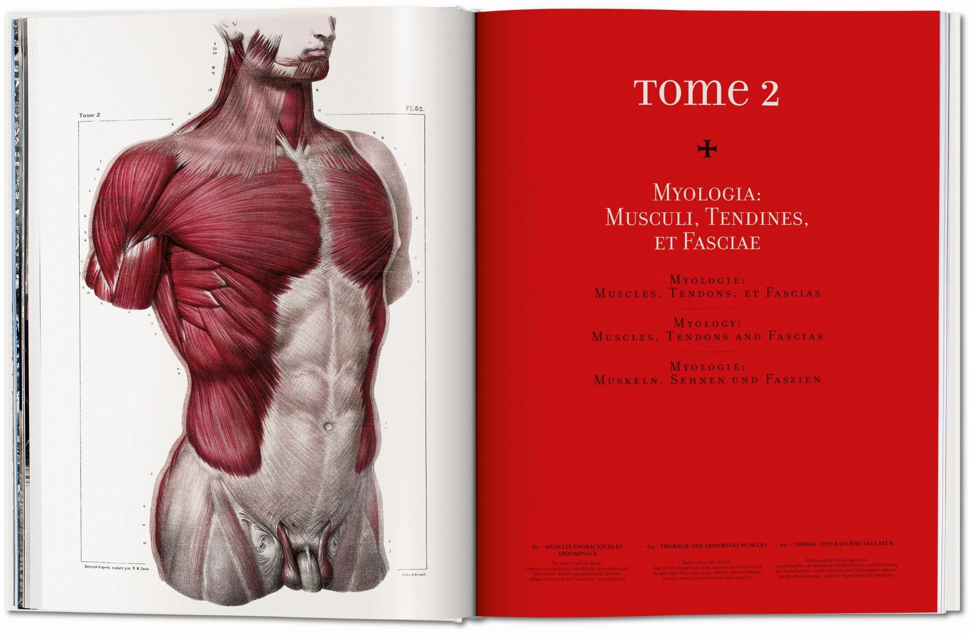 Bourgery. Atlas de Anatomía Humana y Cirugía