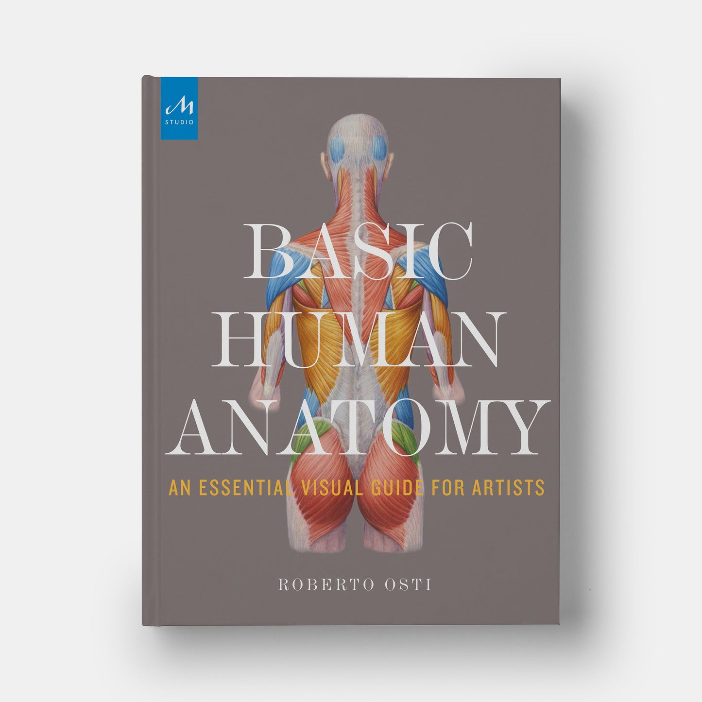 Anatomía Humana Básica: Guía Visual Esencial para Artistas
