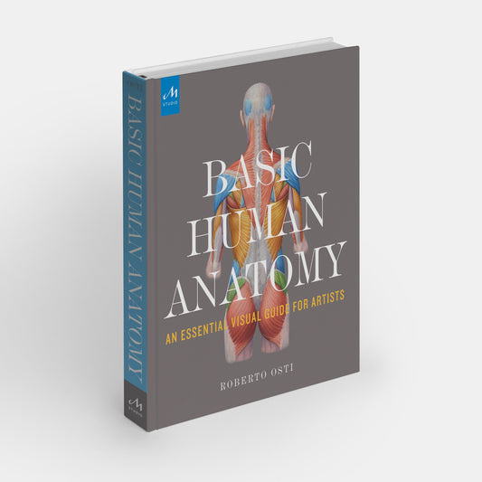 Anatomía Humana Básica: Guía Visual Esencial para Artistas