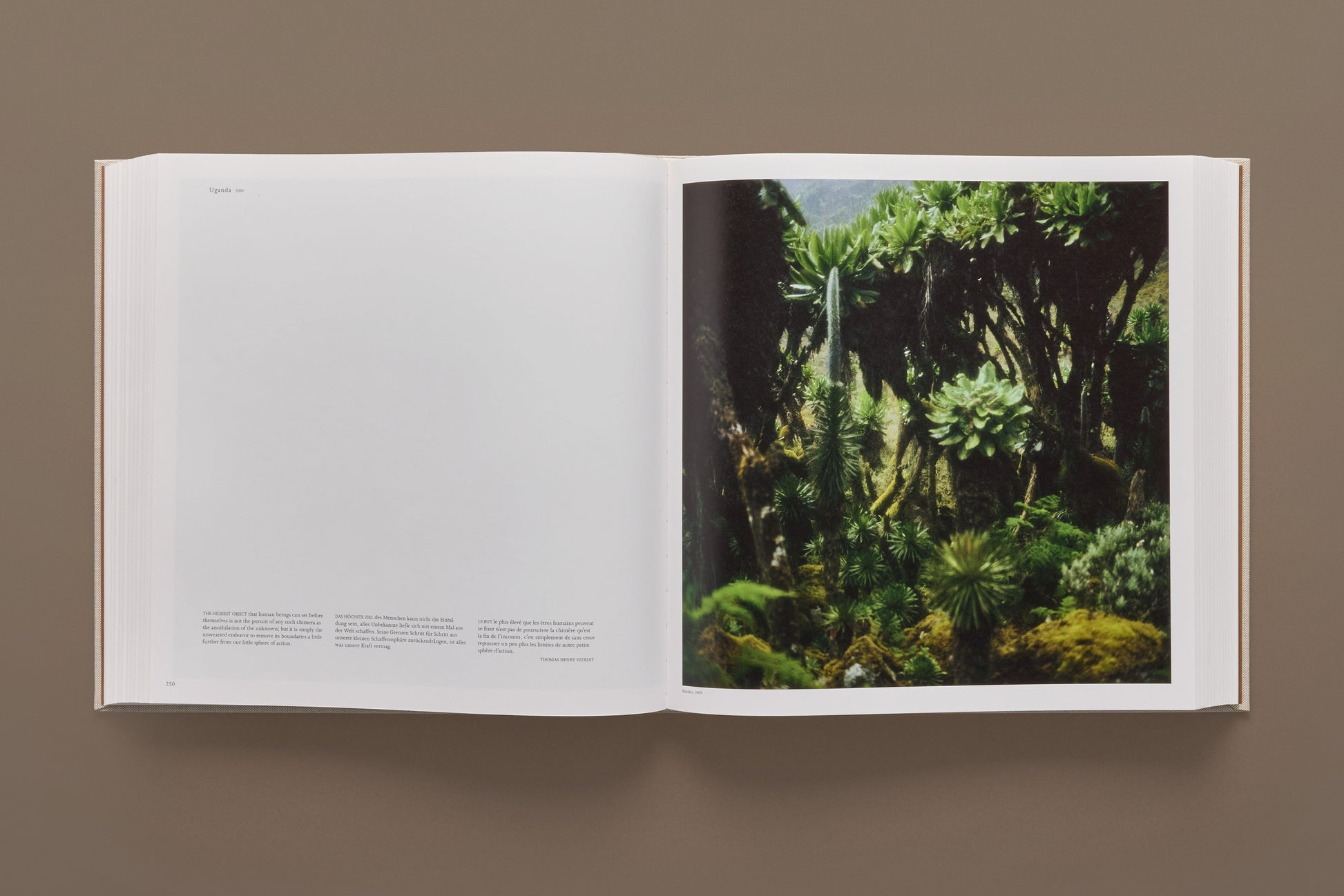 Darren Almond. Fullmoon. Art Edition No. 1–60, ‘Fullmoon@Horseshoe Bay Cove’