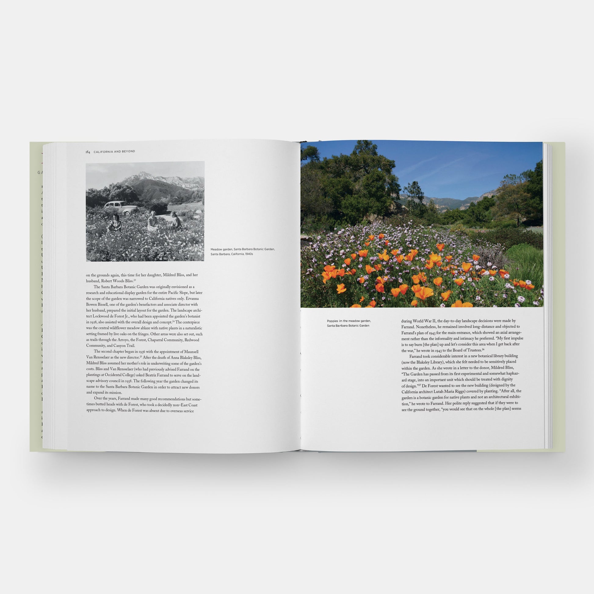 Beatrix Farrand: Artista de jardines, arquitecta paisajista