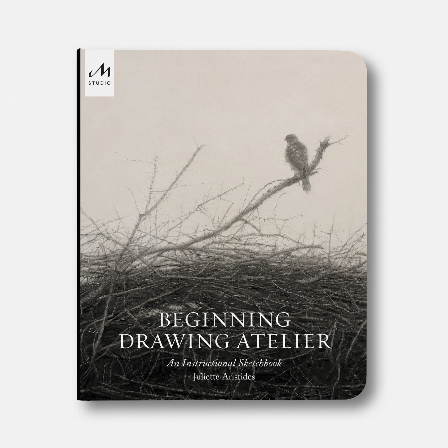 Taller de Dibujo para Principiantes: Un Cuaderno de Bocetos de Instrucción