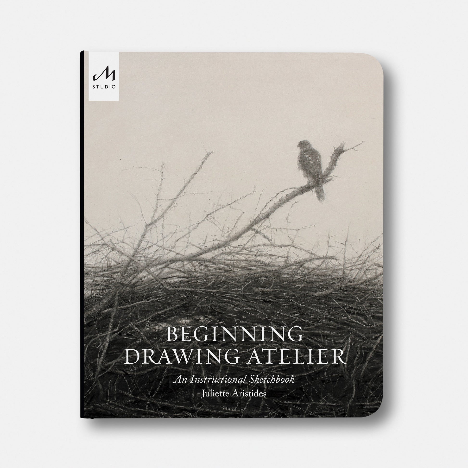 Taller de Dibujo para Principiantes: Un Cuaderno de Bocetos de Instrucción
