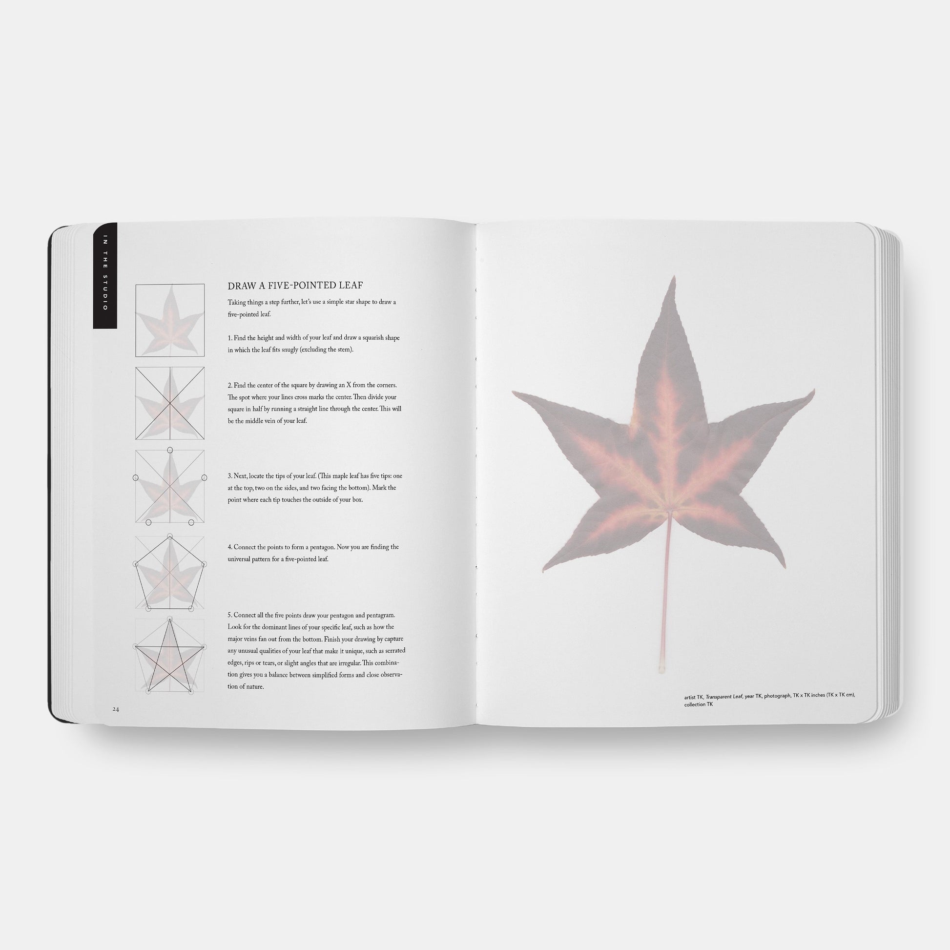 Taller de Dibujo para Principiantes: Un Cuaderno de Bocetos de Instrucción