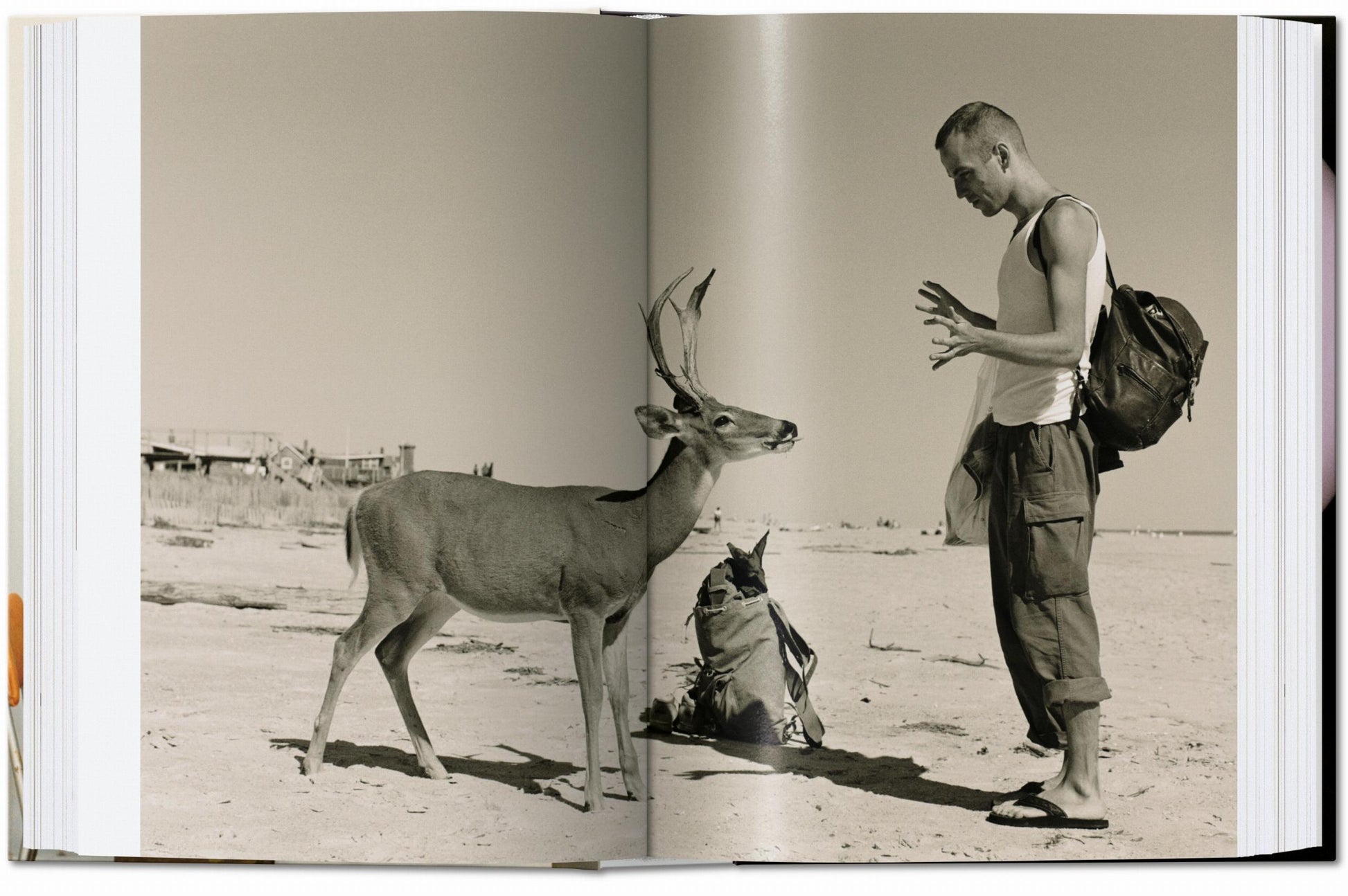 Wolfgang Tillmans. cuatro libros. 45.ª ed.