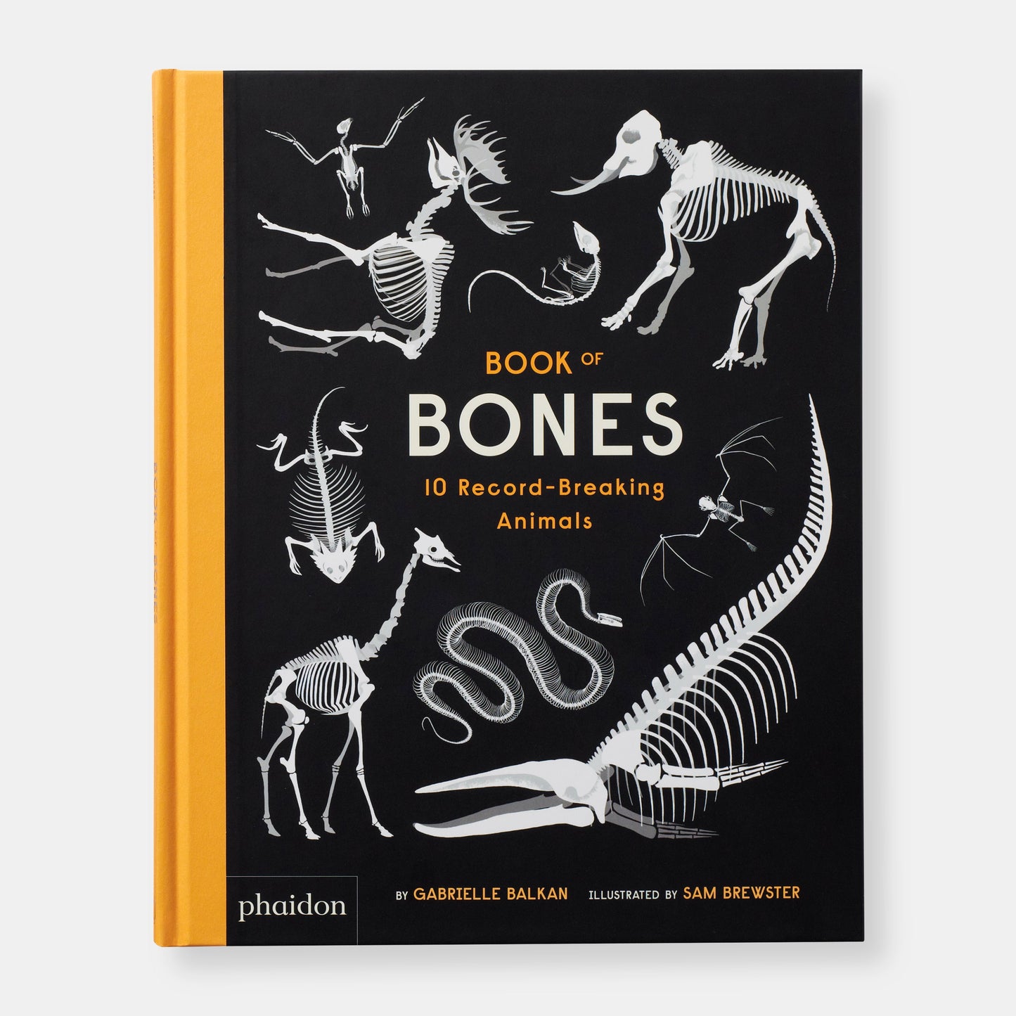 El Libro de los Huesos: 10 Animales de Récord
