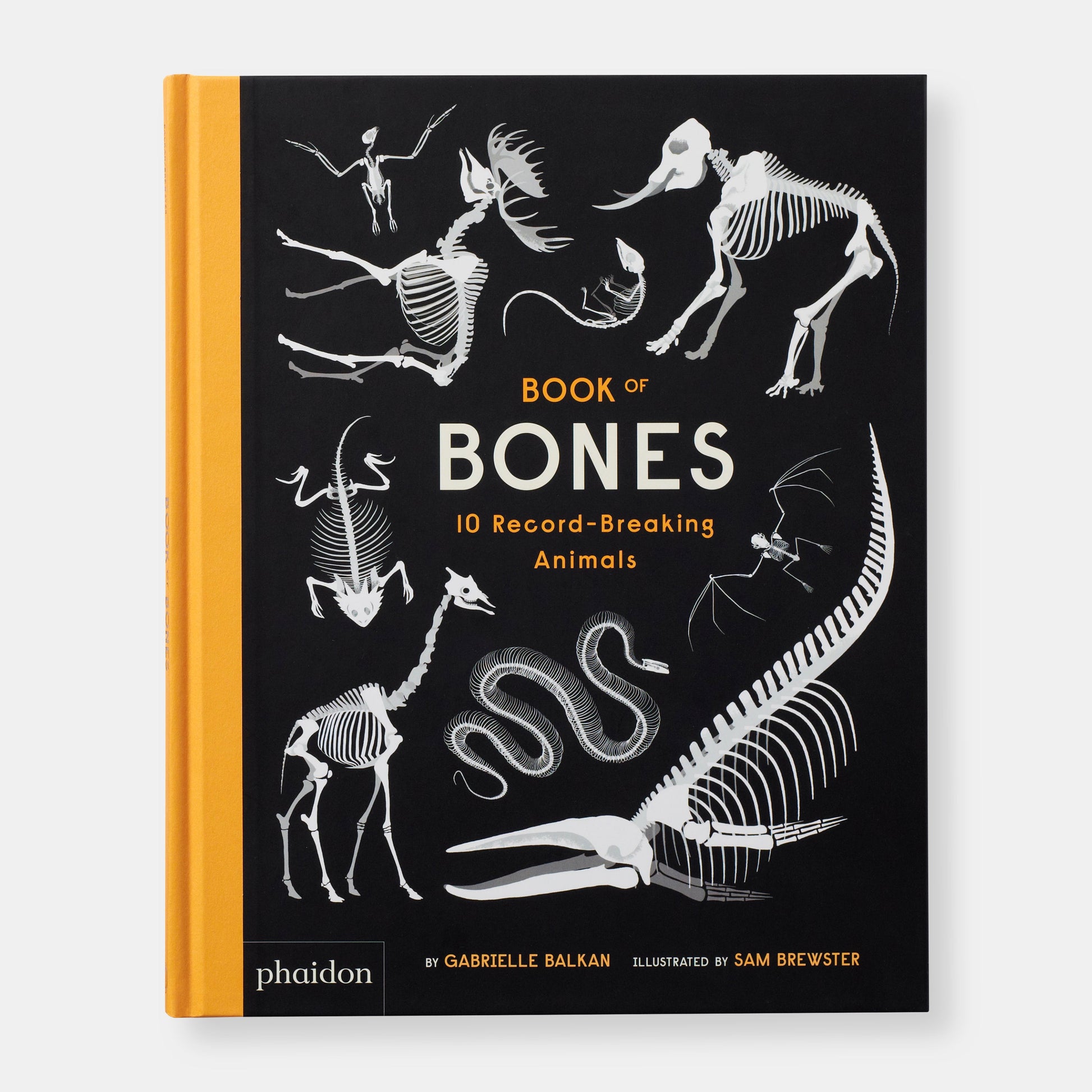 El Libro de los Huesos: 10 Animales de Récord