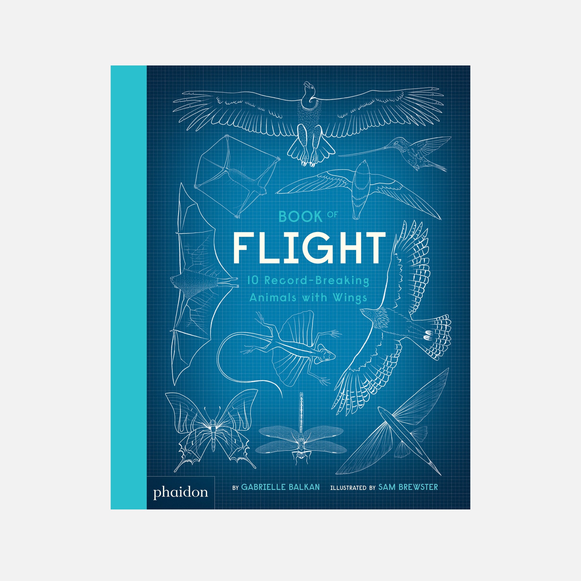 El libro del vuelo: 10 animales con alas que rompieron récords