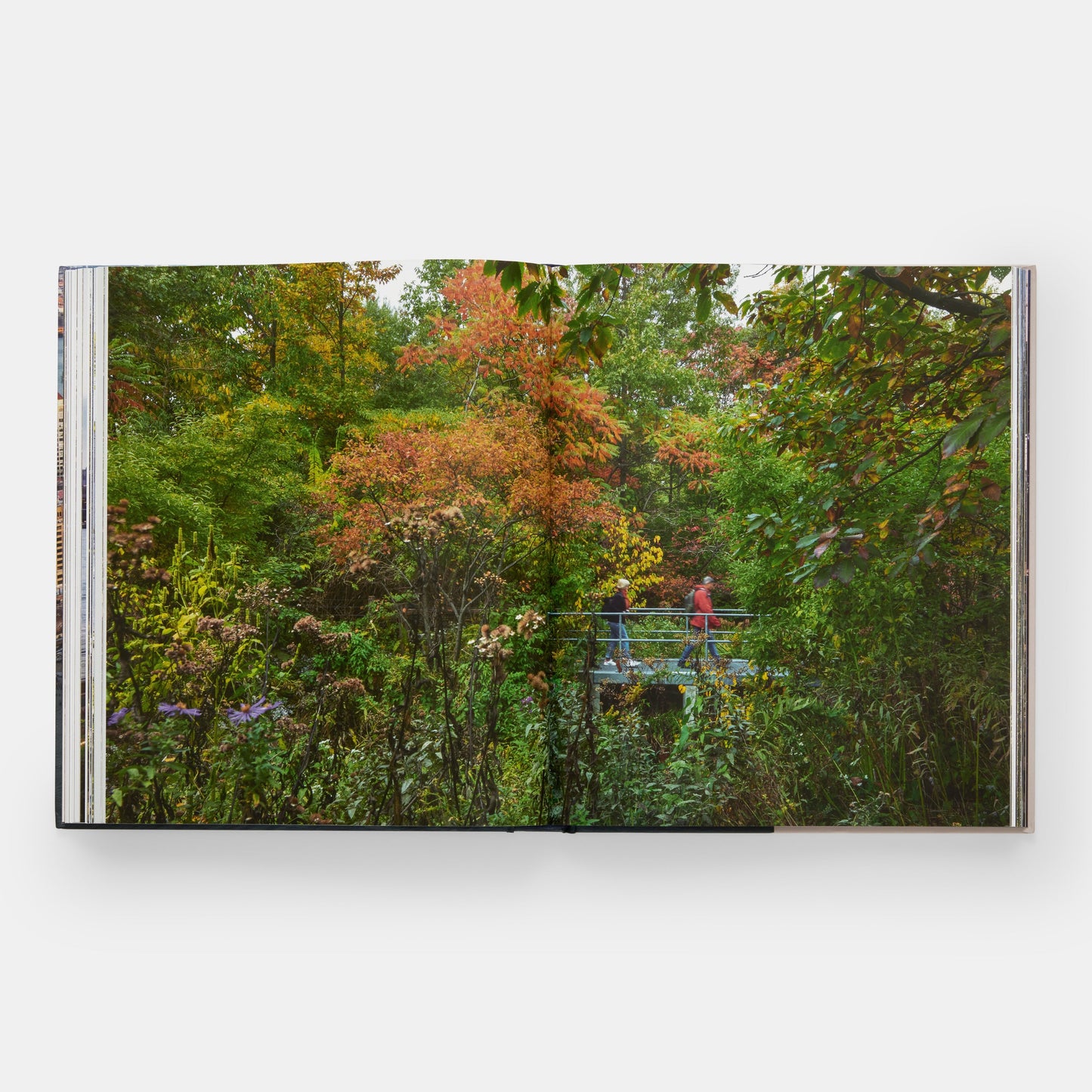 Parque de Brooklyn Bridge: Michael Van Valkenburgh Associates