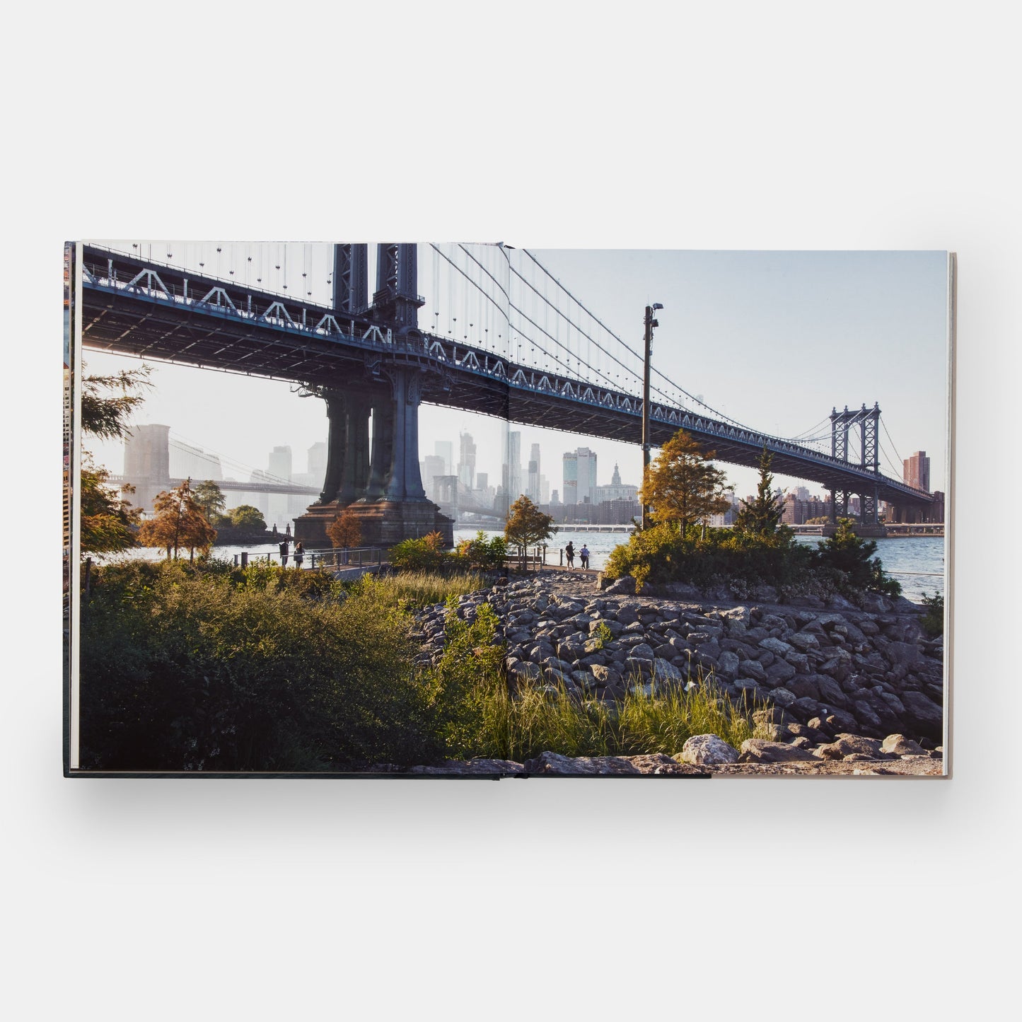 Parque de Brooklyn Bridge: Michael Van Valkenburgh Associates