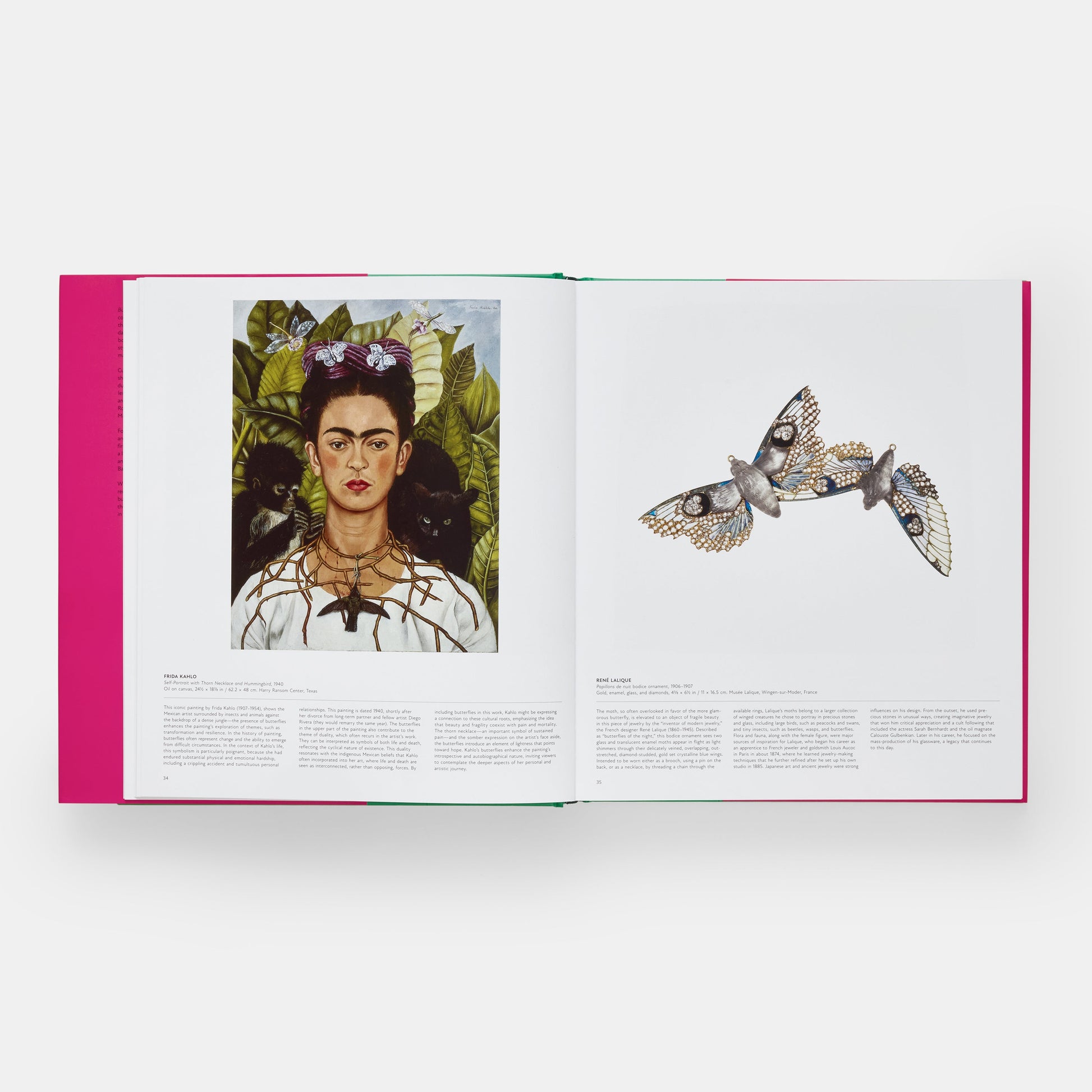 Mariposa: Explorando el mundo de los lepidópteros