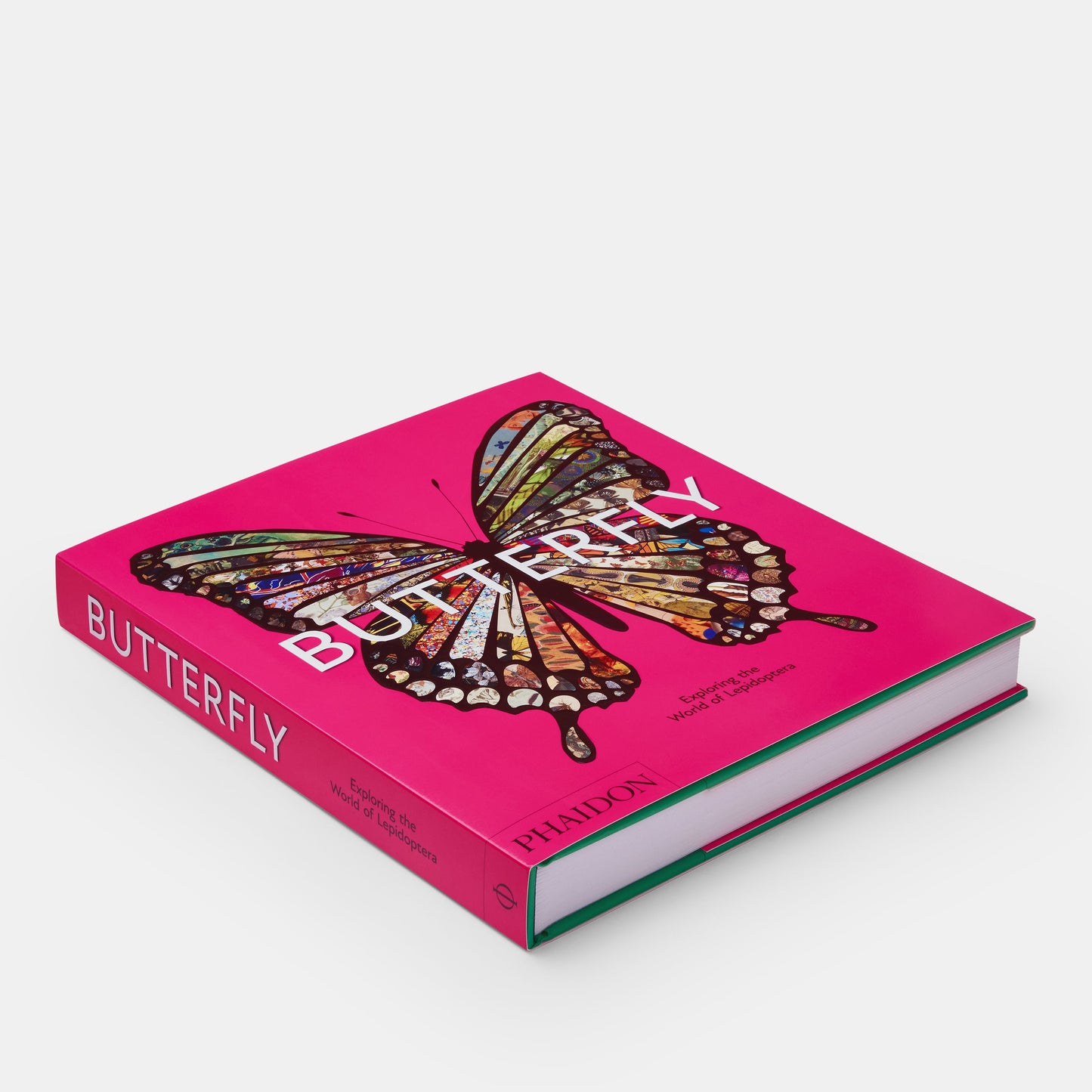 Mariposa: Explorando el mundo de los lepidópteros