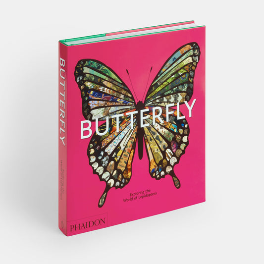 Mariposa: Explorando el mundo de los lepidópteros