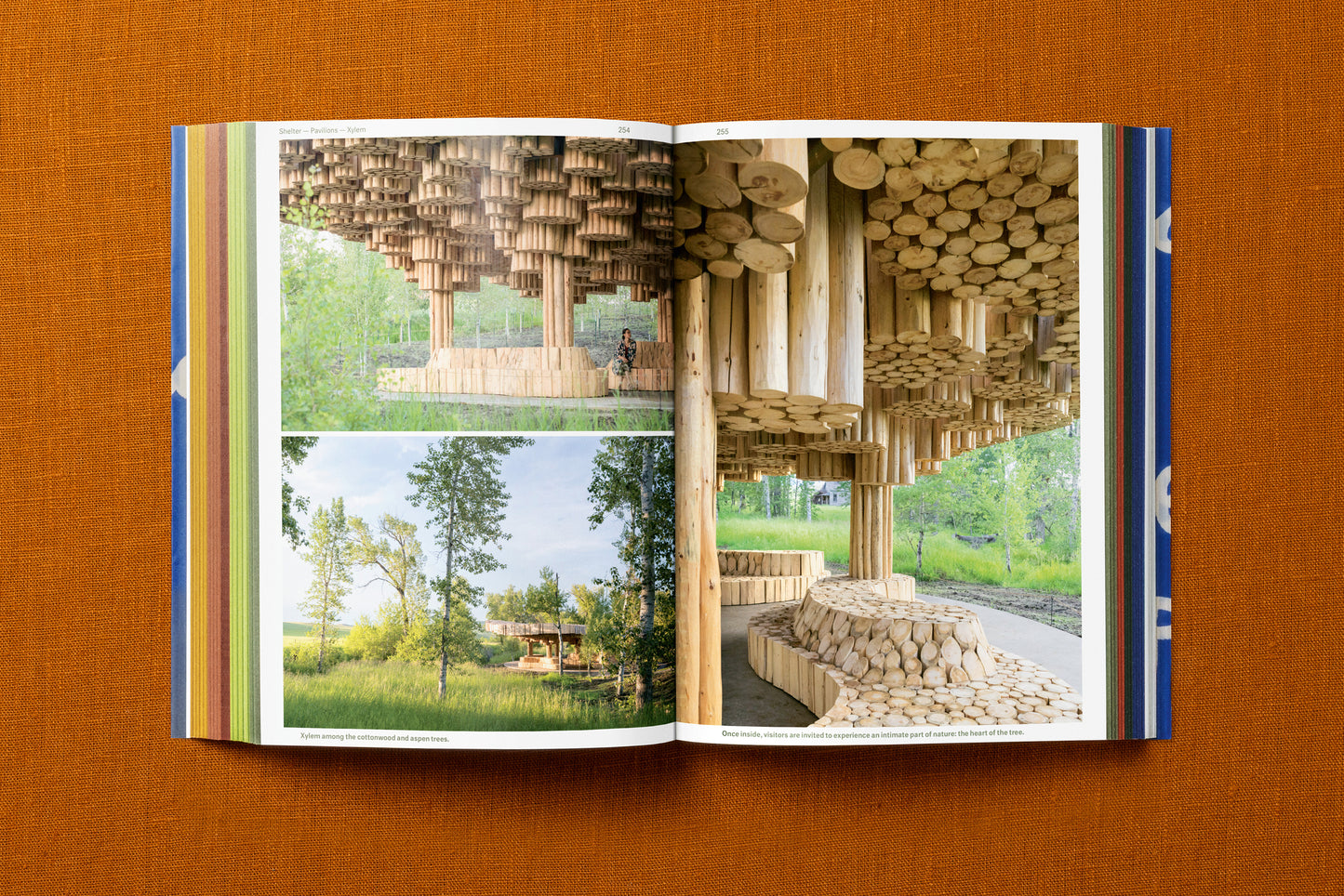 FRANCIS KÉRÉ. BUILDING STORIES