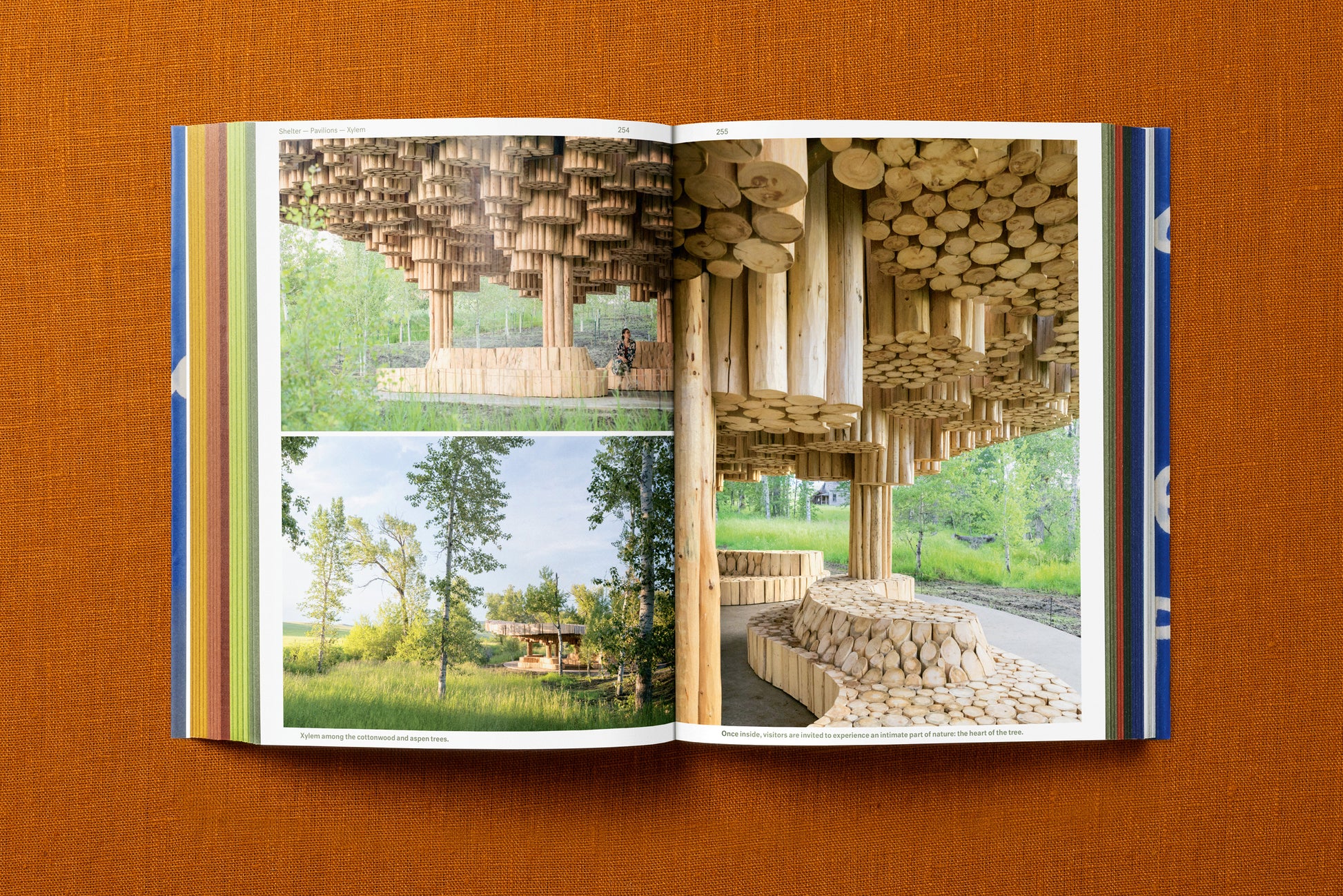 FRANCIS KÉRÉ. BUILDING STORIES