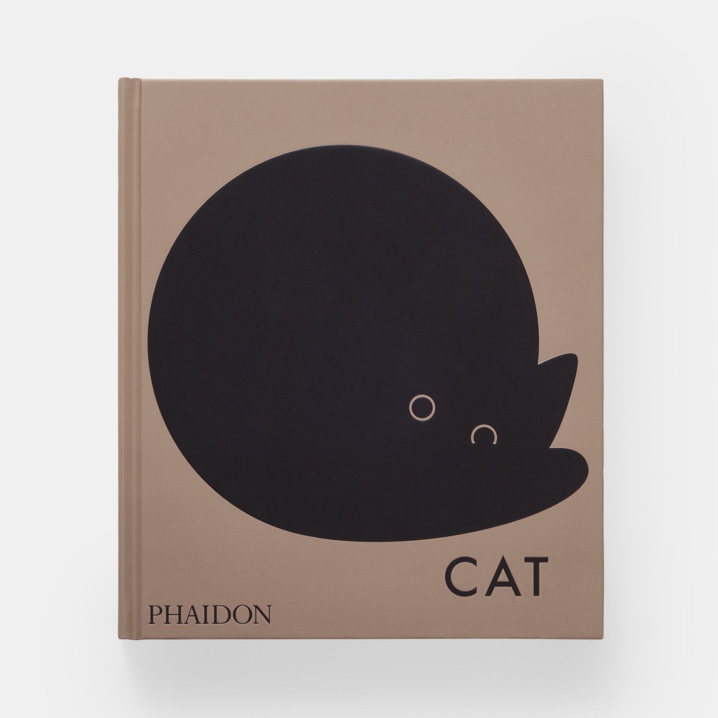 Gato