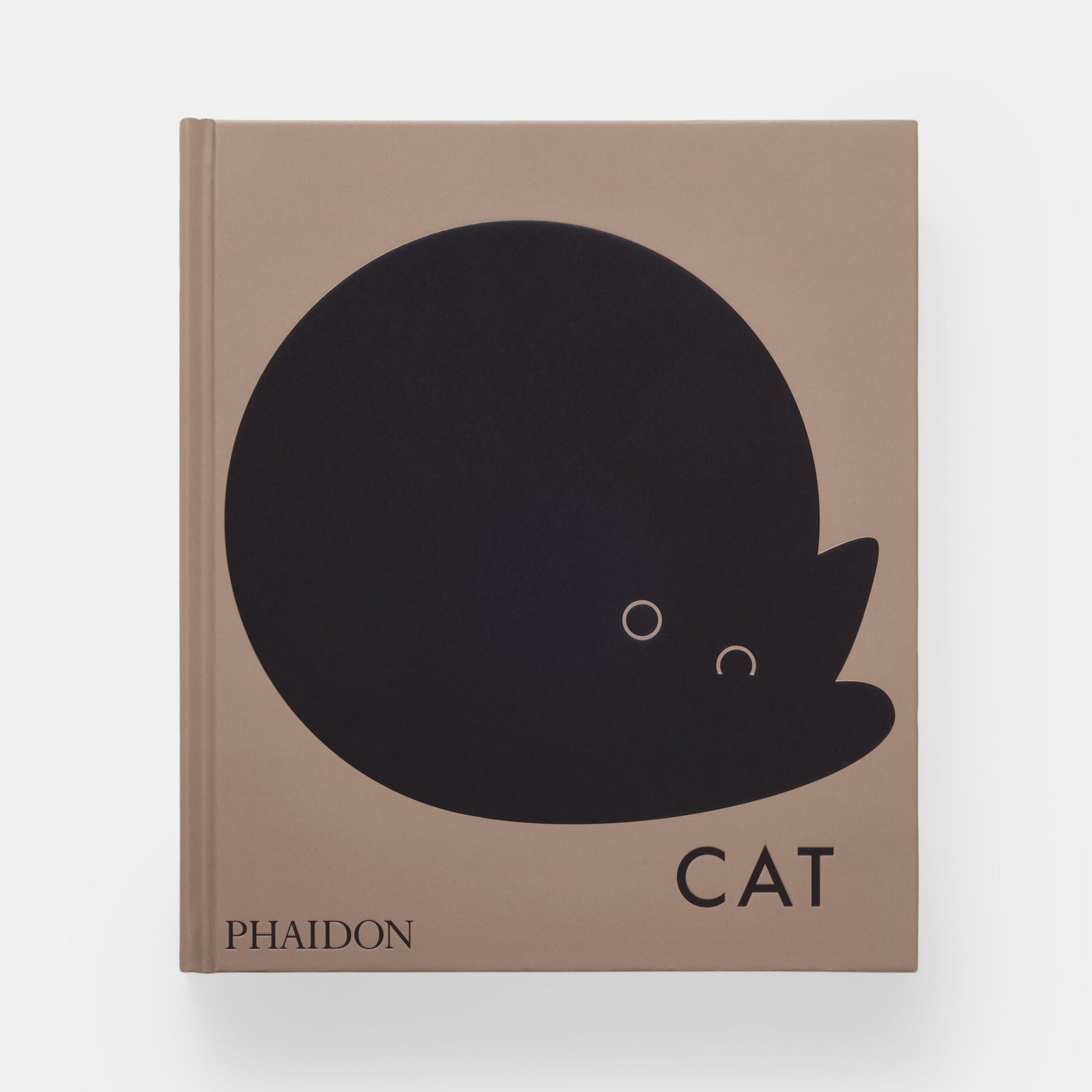 Gato