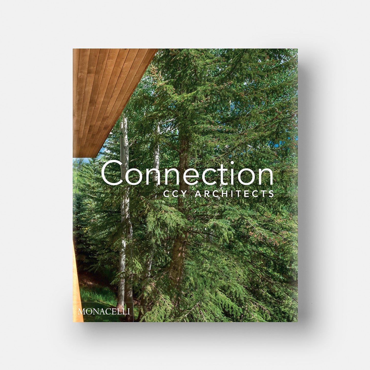 Conexión: CCY Architects