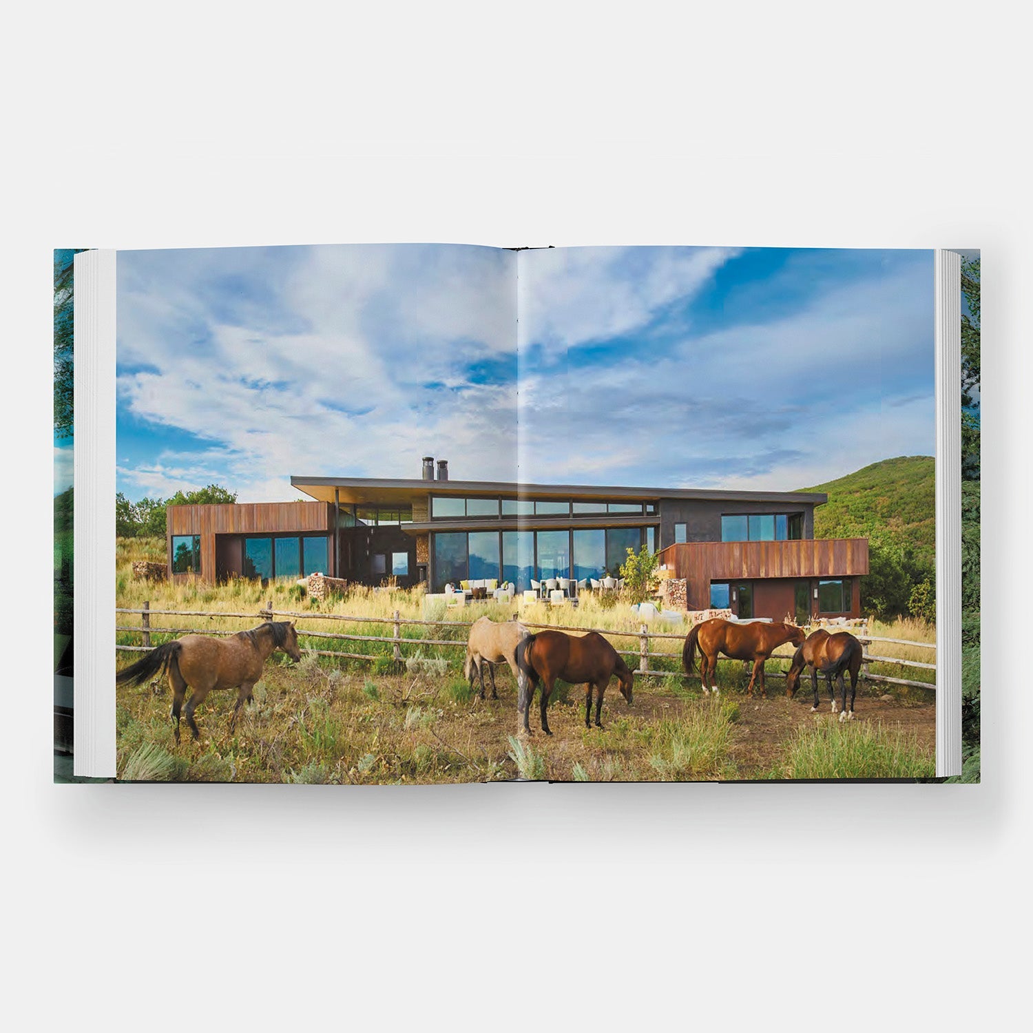 Conexión: CCY Architects