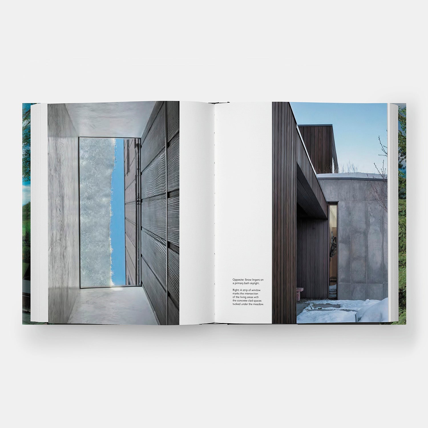 Conexión: CCY Architects
