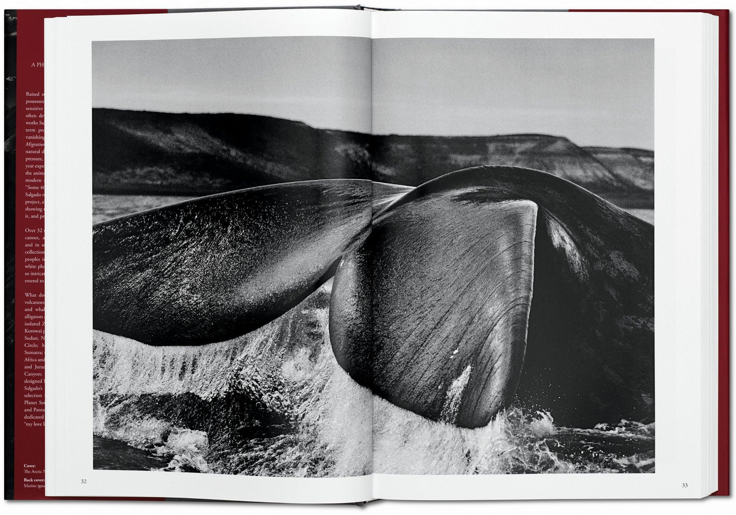 Sebastião Salgado. Génesis