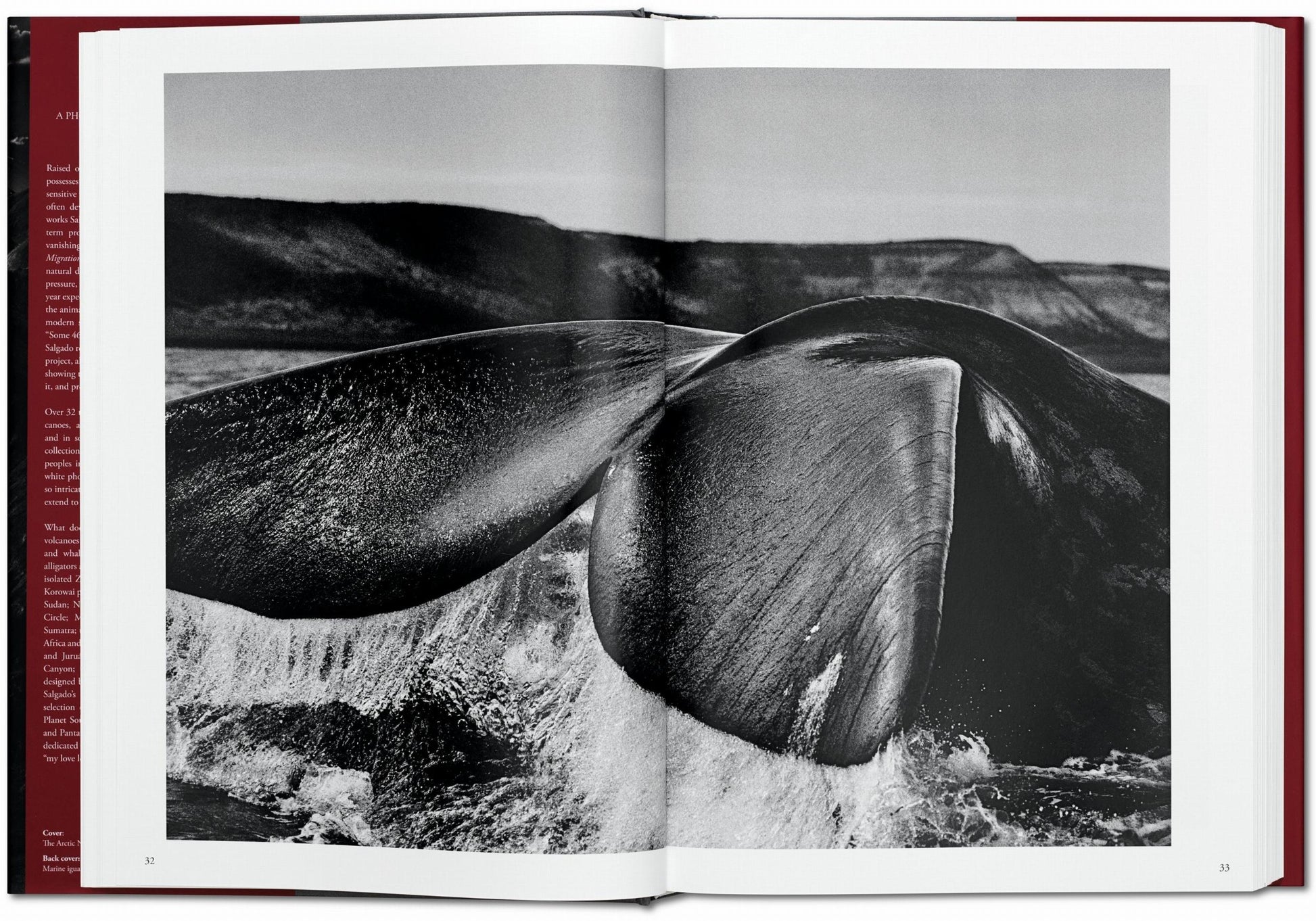 Sebastião Salgado. Génesis