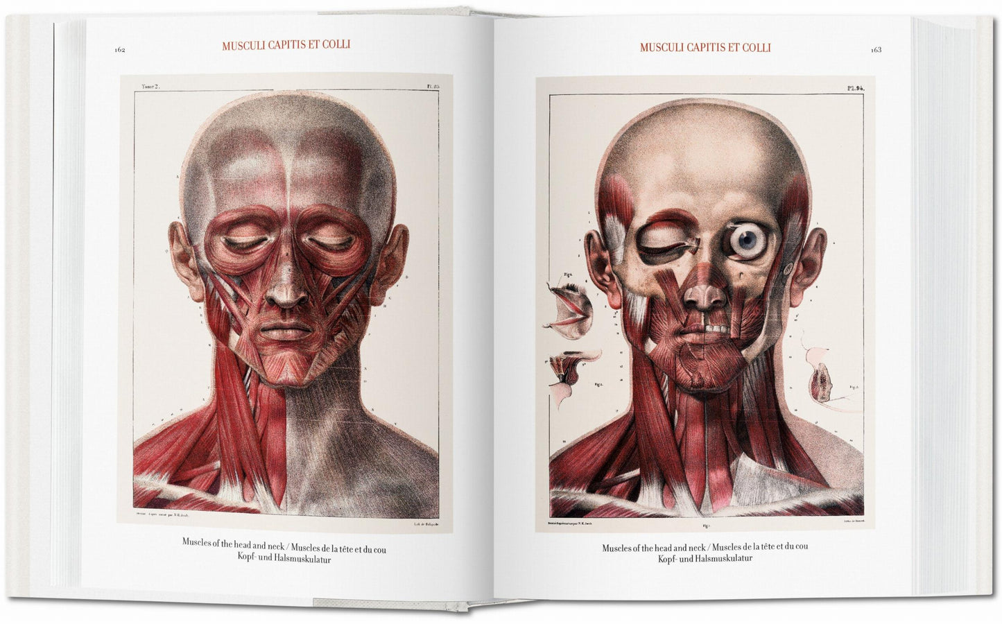 Bourgery. Atlas de anatomía humana y cirugía