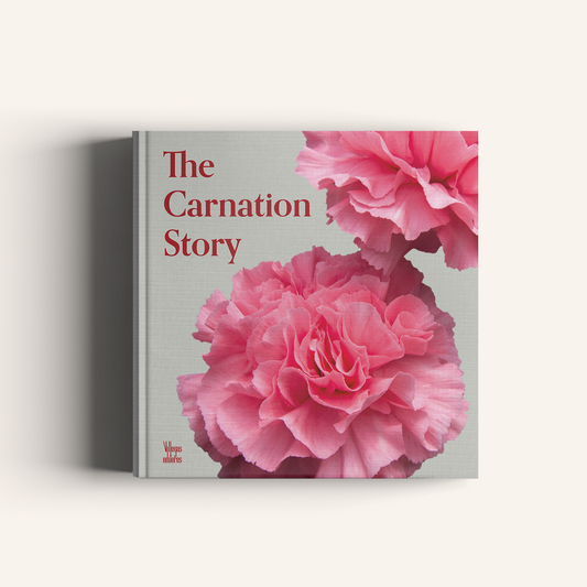 The Carnation Story-Weaving The Planet & Villegas Editores-Libros