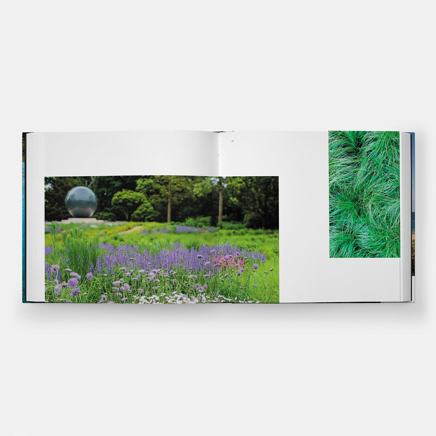 Jardines contemporáneos de los Hamptons: LaGuardia Design Group 1990-2020
