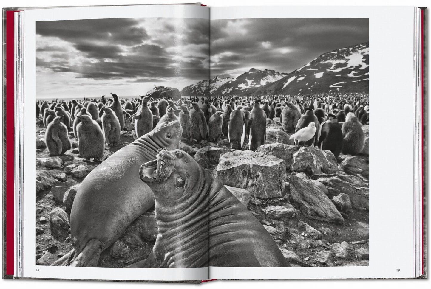 Sebastião Salgado. Génesis. 45.ª ed.