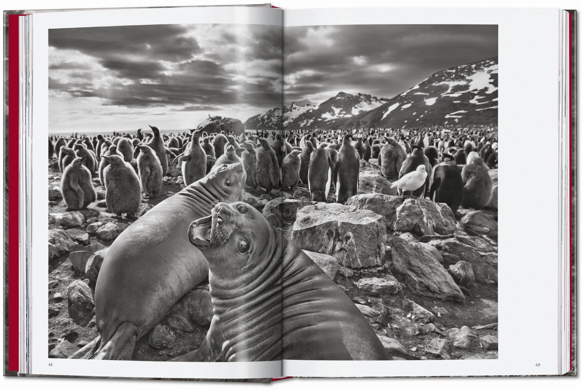 Sebastião Salgado. Génesis. 45.ª ed.