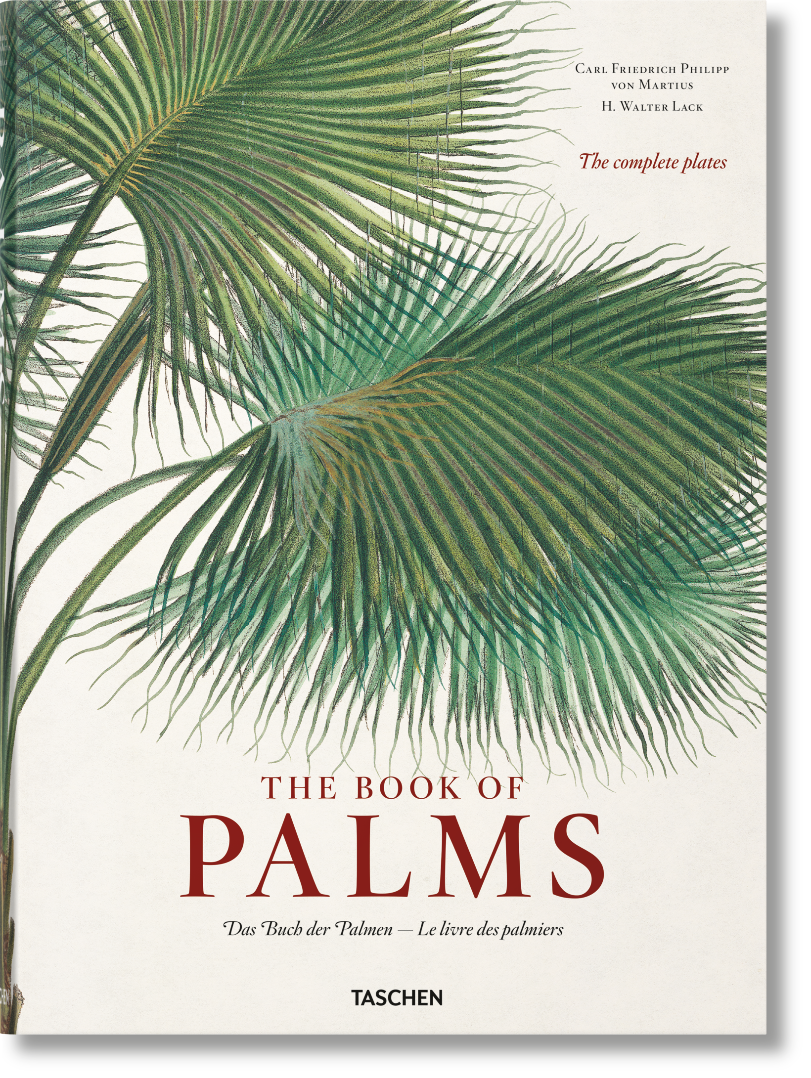 Martius. El libro de las palmeras