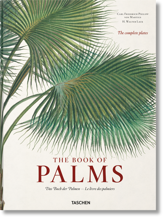 Martius. El libro de las palmeras