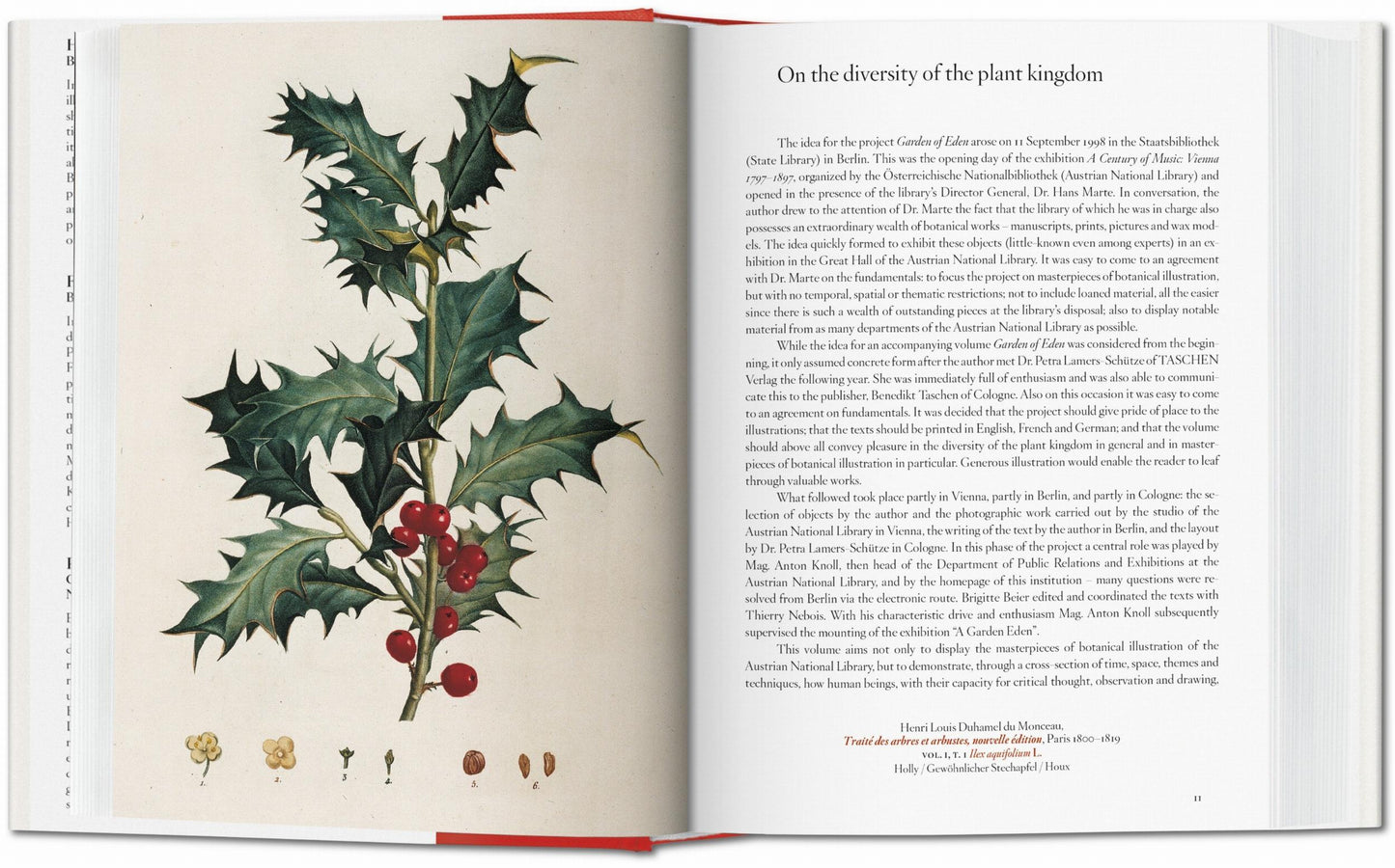 Un jardín del Edén. Obras maestras de la ilustración botánica. 45ª ed.