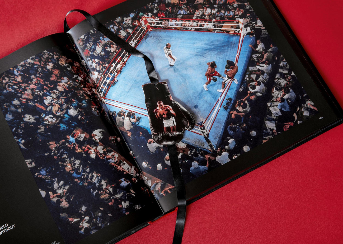 Neil Leifer. Boxeo. 60 años de peleas y púgiles