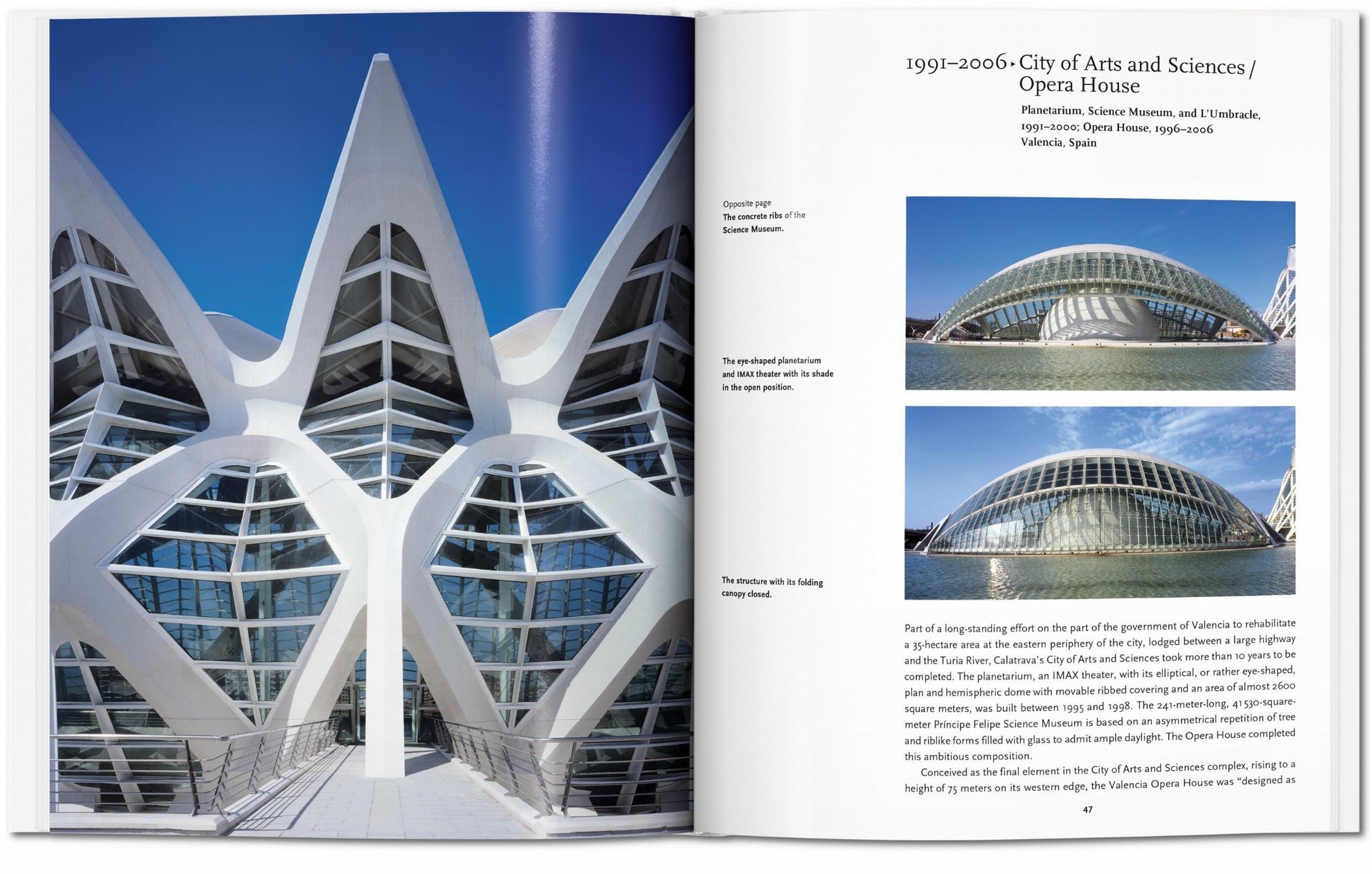 Calatrava. Arte Básico