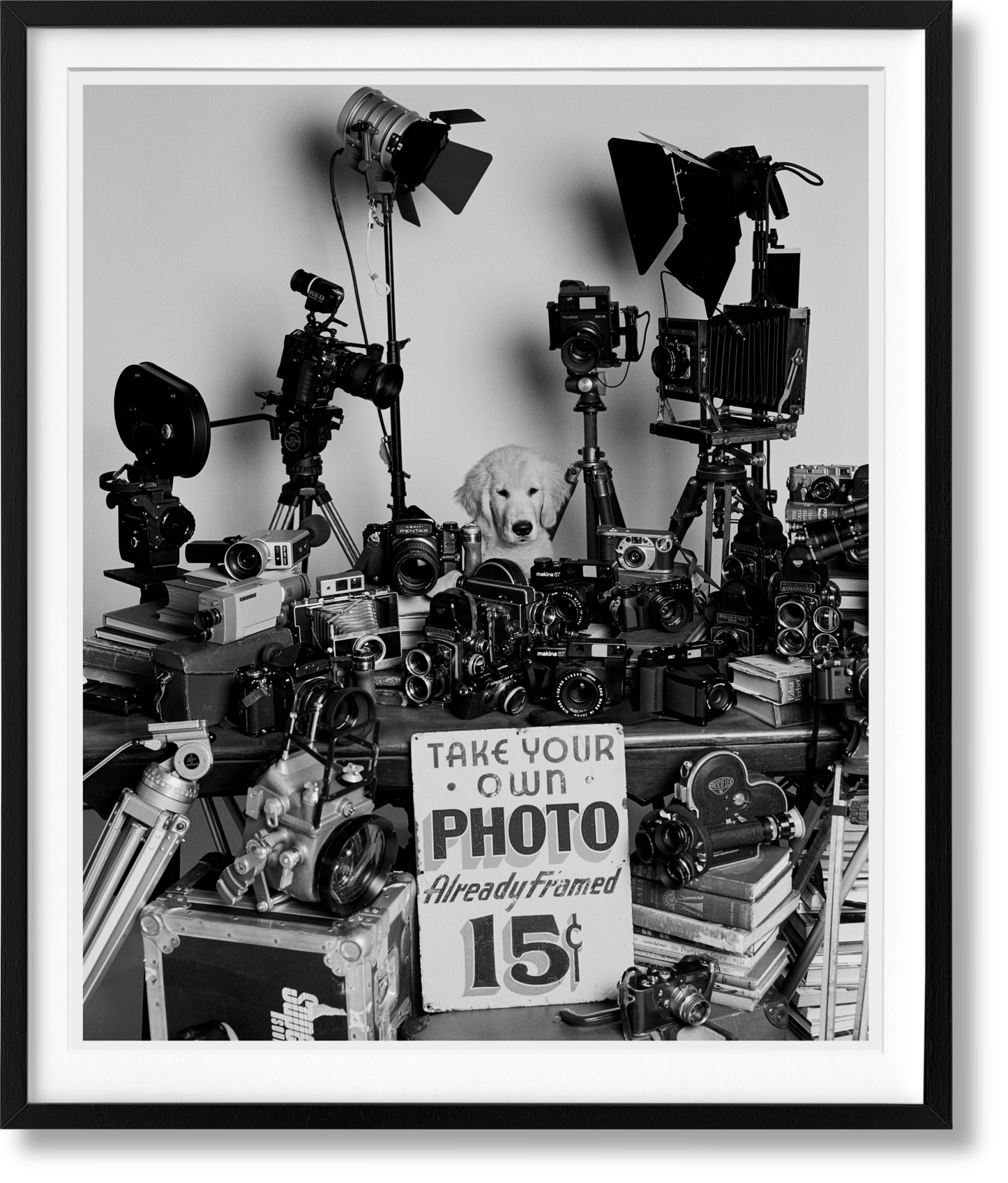 Bruce Weber. The Golden Retriever Photographic Society. Edición de arte n.º 101–200 «Hud, Nueva York, 2011»
