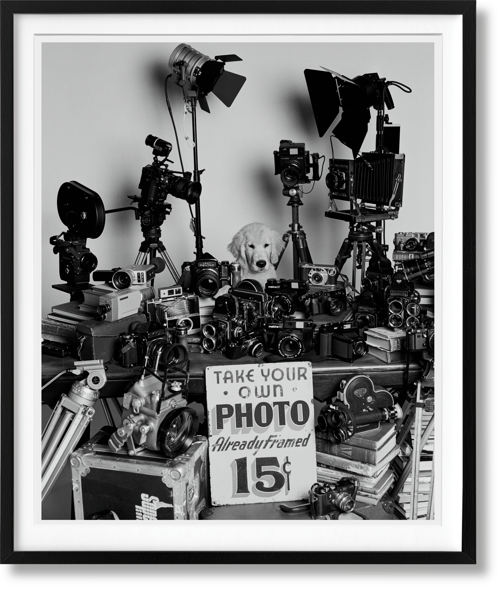 Bruce Weber. The Golden Retriever Photographic Society. Edición de arte n.º 101–200 «Hud, Nueva York, 2011»