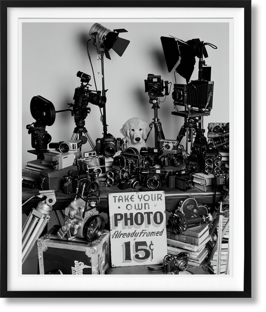 Bruce Weber. The Golden Retriever Photographic Society. Edición de arte n.º 101–200 «Hud, Nueva York, 2011»
