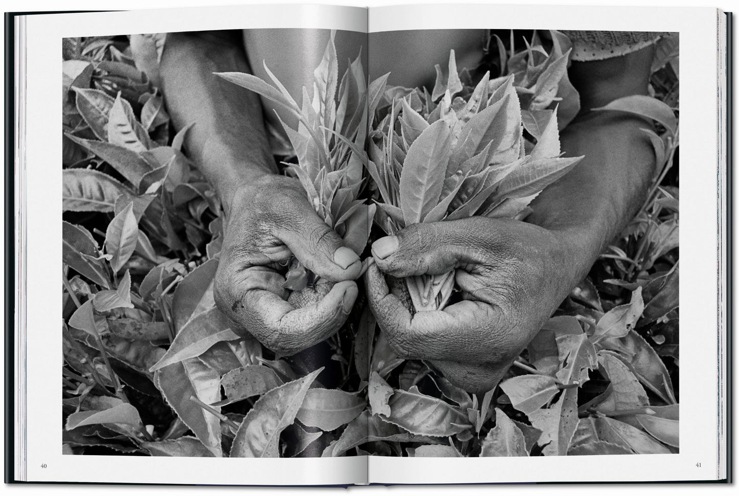 Sebastião Salgado. Trabajadores. Una arqueología de la era industrial