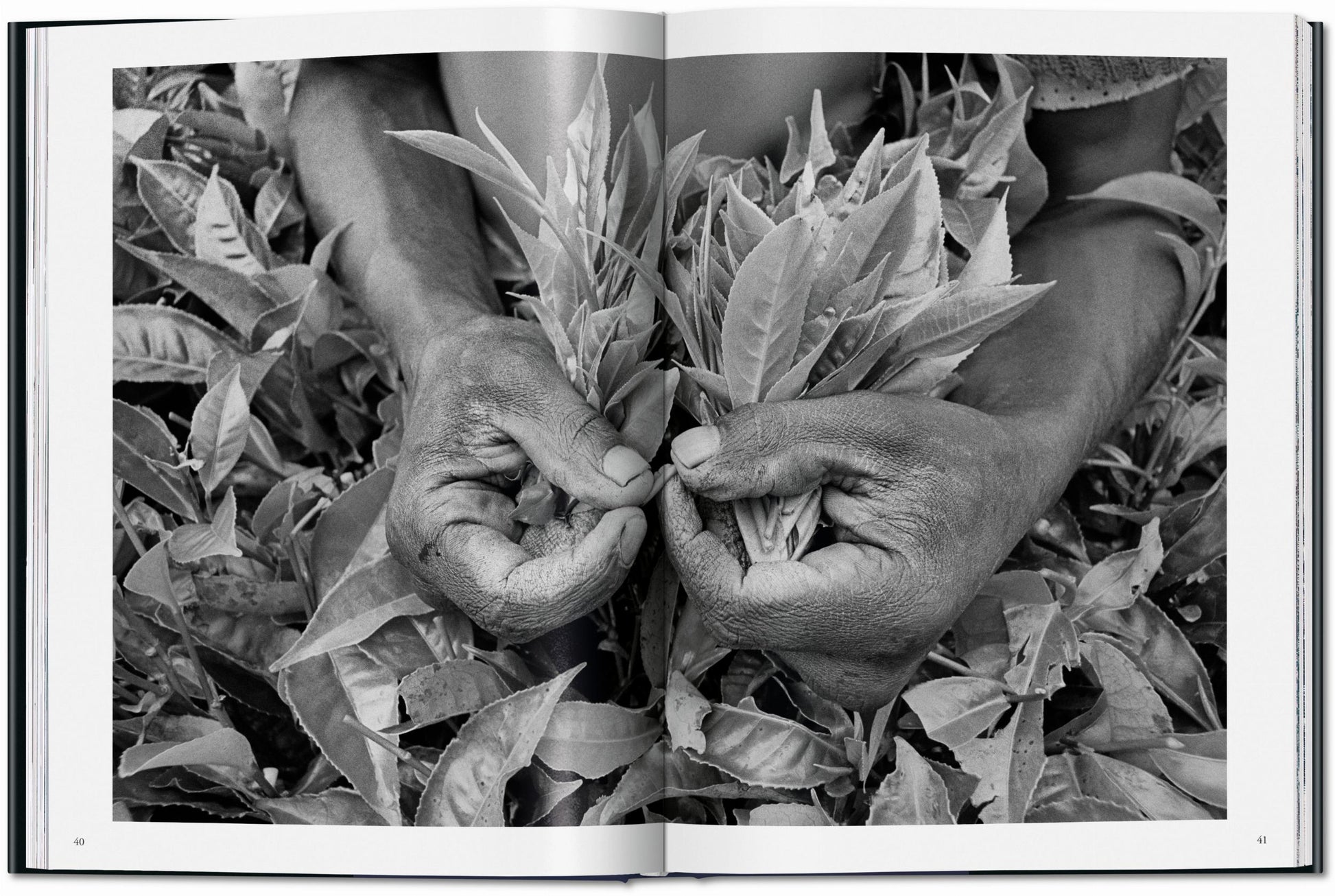 Sebastião Salgado. Trabajadores. Una arqueología de la era industrial
