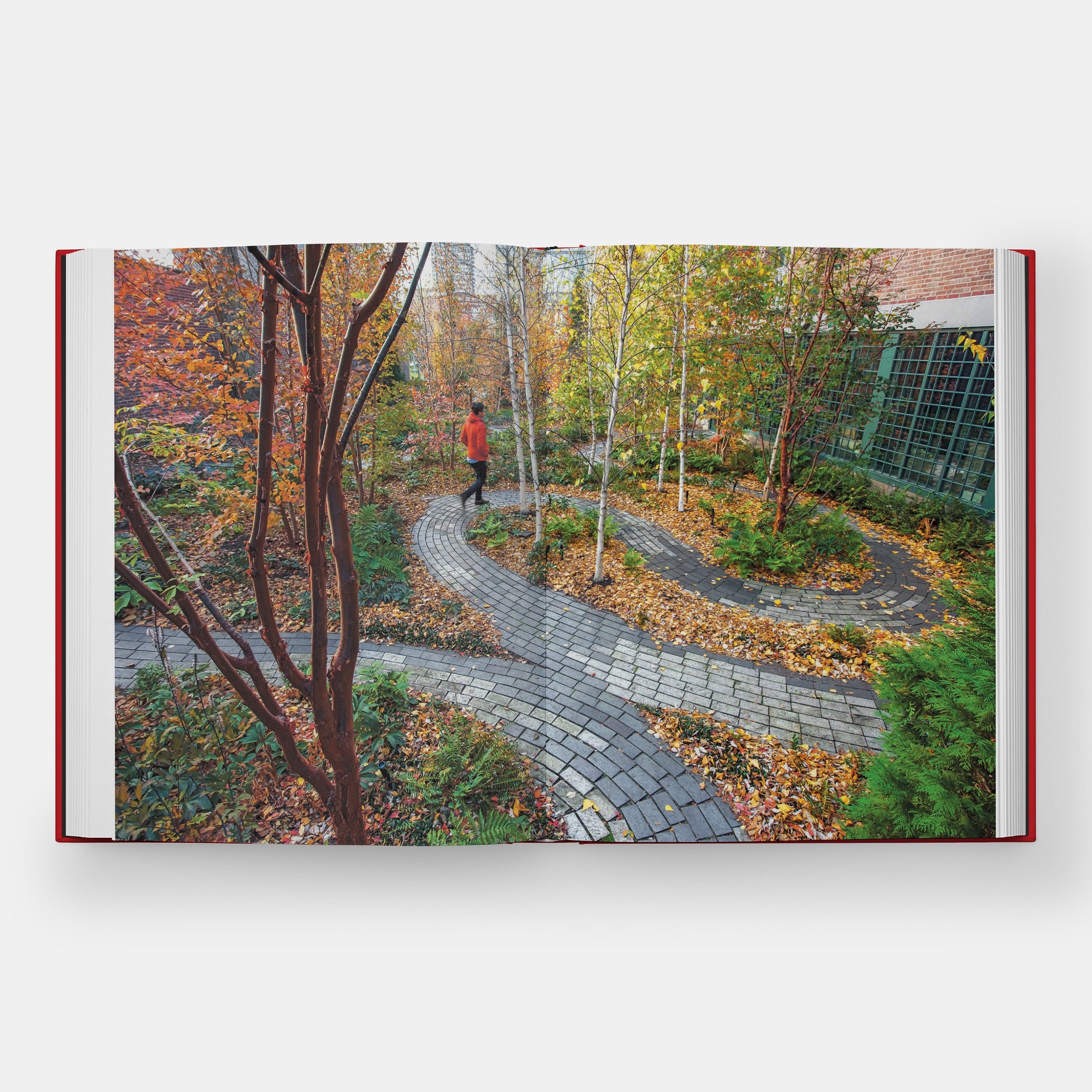 Diseño de un jardín: el jardín del monje en el Museo Isabella Stewart Gardner