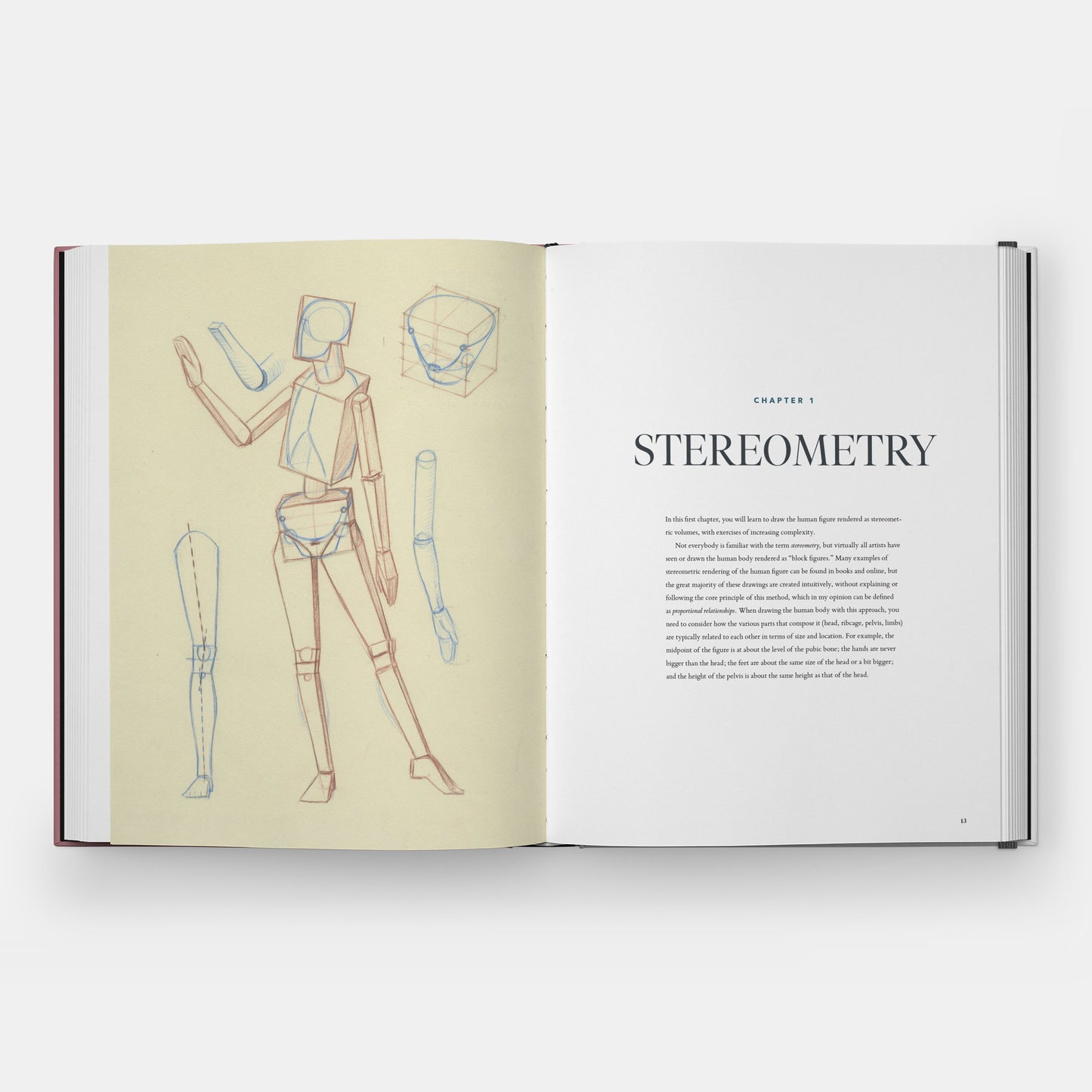 Dibujar el cuerpo: la lectura de la forma humana en el arte