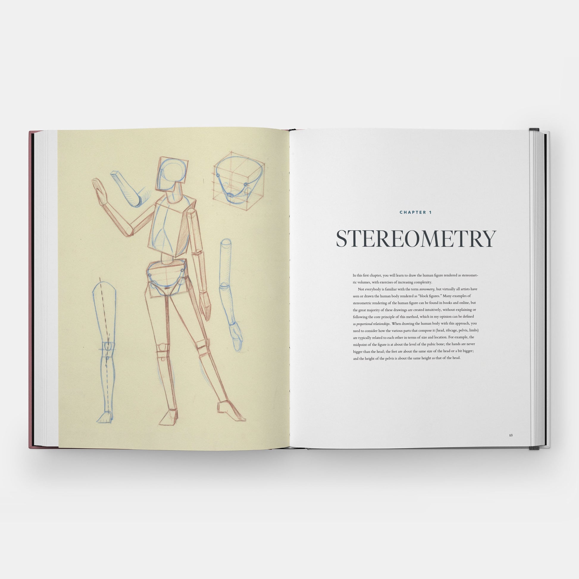 Dibujar el cuerpo: la lectura de la forma humana en el arte