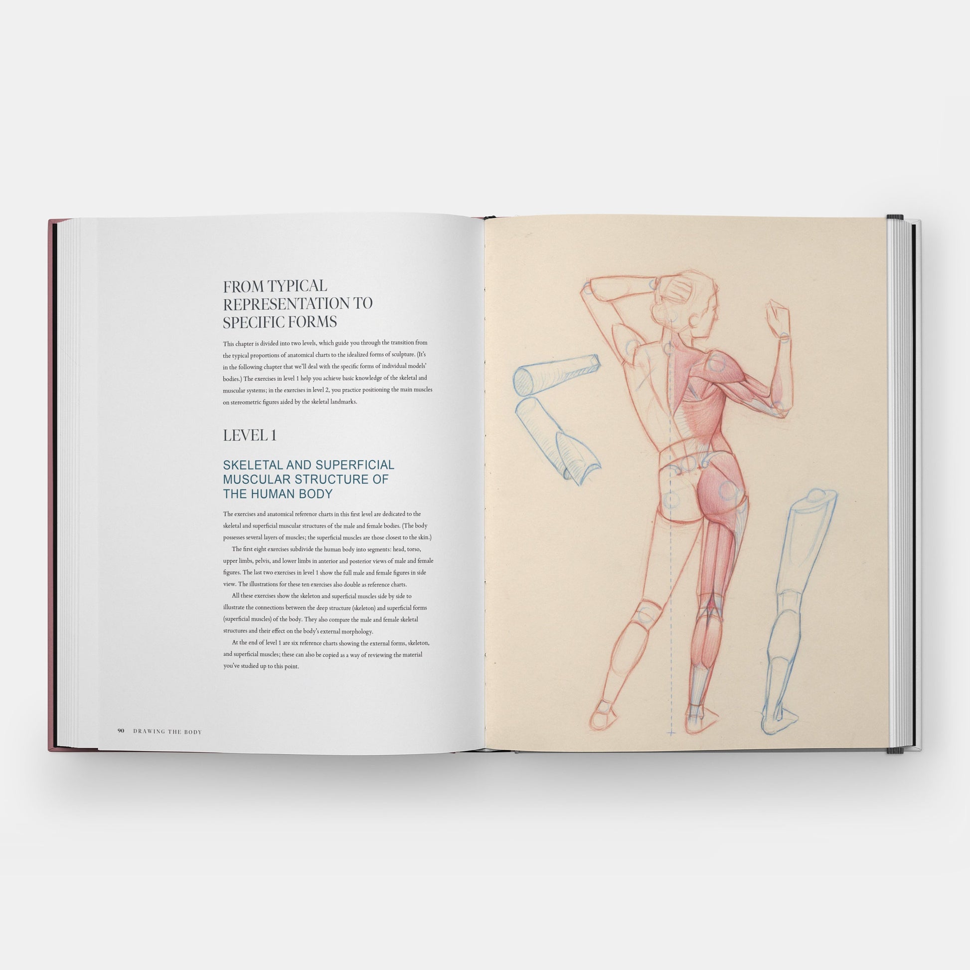 Dibujar el cuerpo: la lectura de la forma humana en el arte