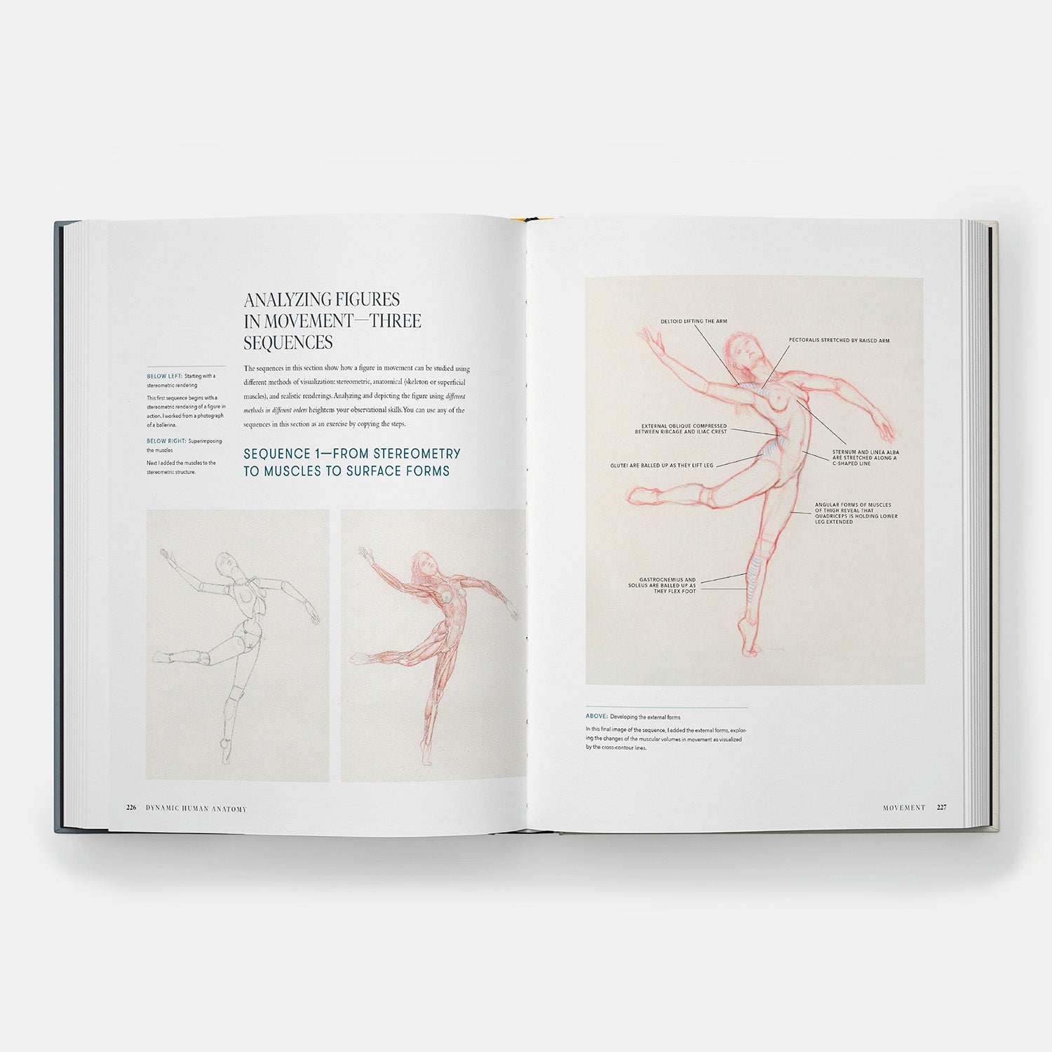 Anatomía humana dinámica: Guía artística de la estructura, el gesto y la figura en movimiento