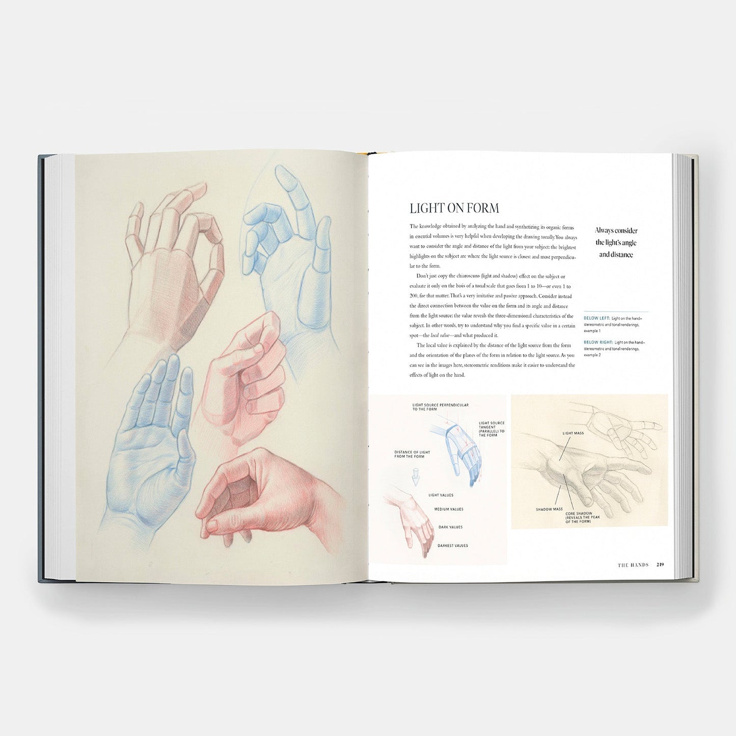 Anatomía humana dinámica: Guía artística de la estructura, el gesto y la figura en movimiento